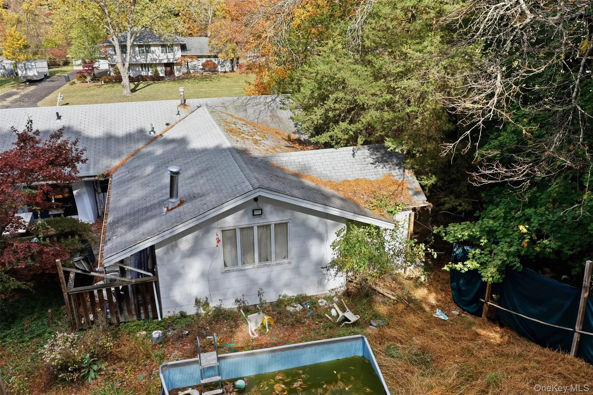 Rear view of house featuring roof with shingles and an outdoor pool Rear view of house featuring roof with shingles and an outdoor pool
