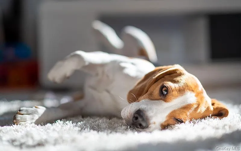 Detailed view of a sink Detailed view of a sink