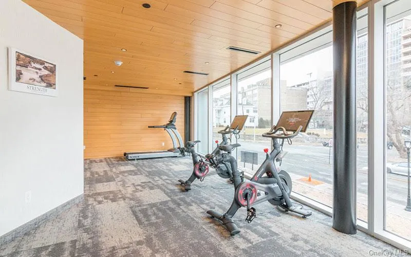 Exercise room with wood ceiling, wood walls, floor to ceiling windows, and carpet flooring Exercise room with wood ceiling, wood walls, floor to ceiling windows, and carpet flooring