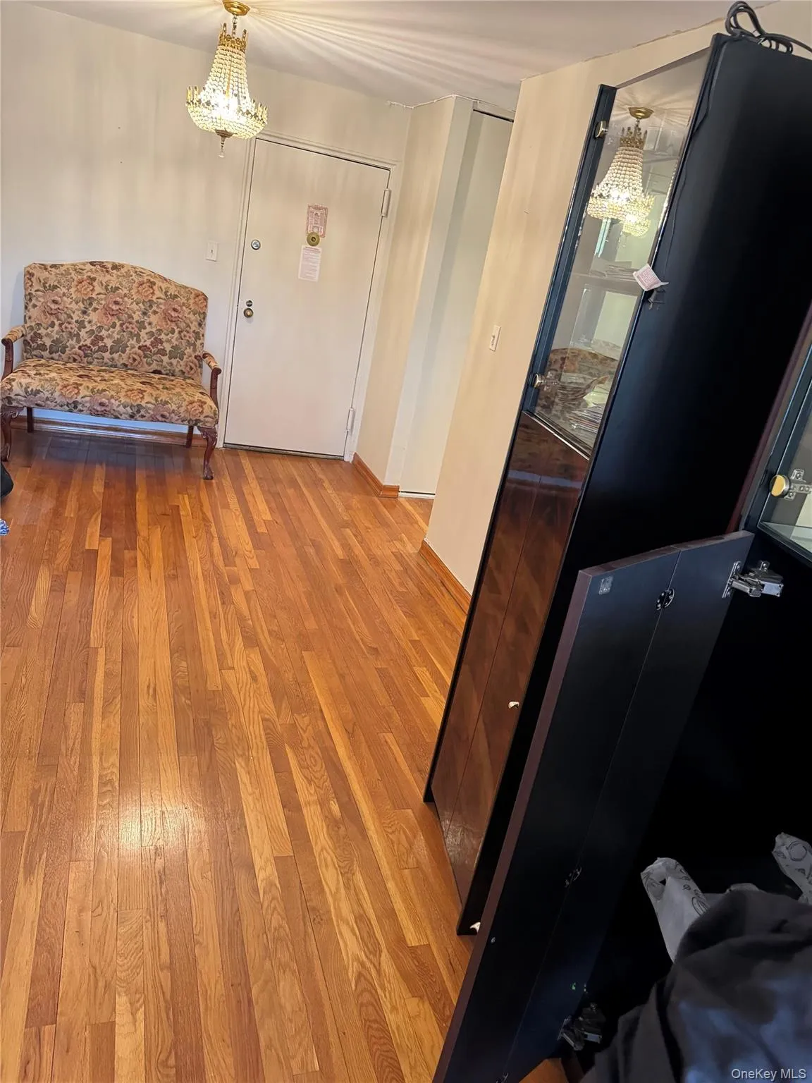 Large Living room with wood floors Large Living room with wood floors