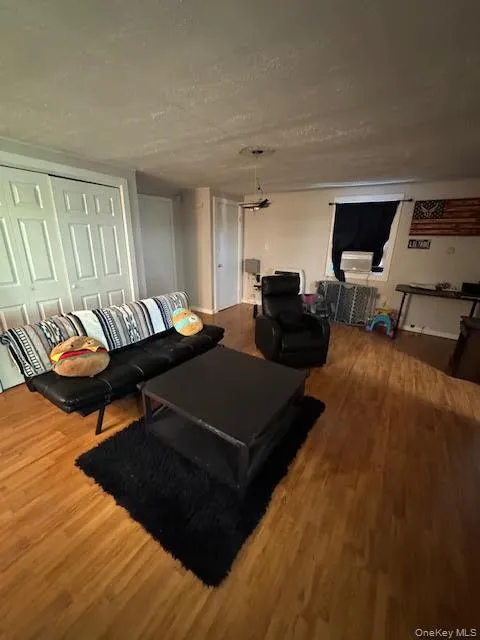 Living room featuring wood finished floors Living room featuring wood finished floors