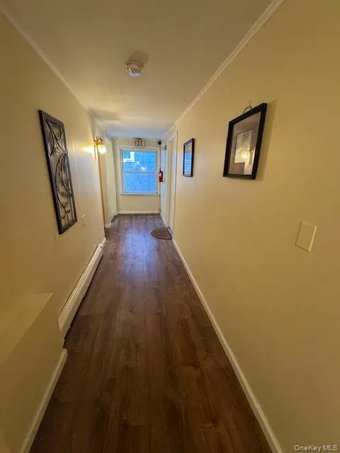 Hallway with dark wood-type flooring, a baseboard radiator, and crown molding Hallway with dark wood-type flooring, a baseboard radiator, and crown molding