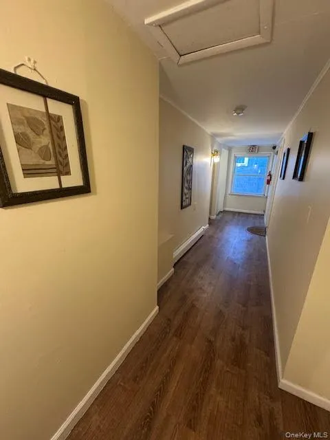 Hallway featuring dark wood-style floors, a baseboard radiator, and ornamental molding Hallway featuring dark wood-style floors, a baseboard radiator, and ornamental molding