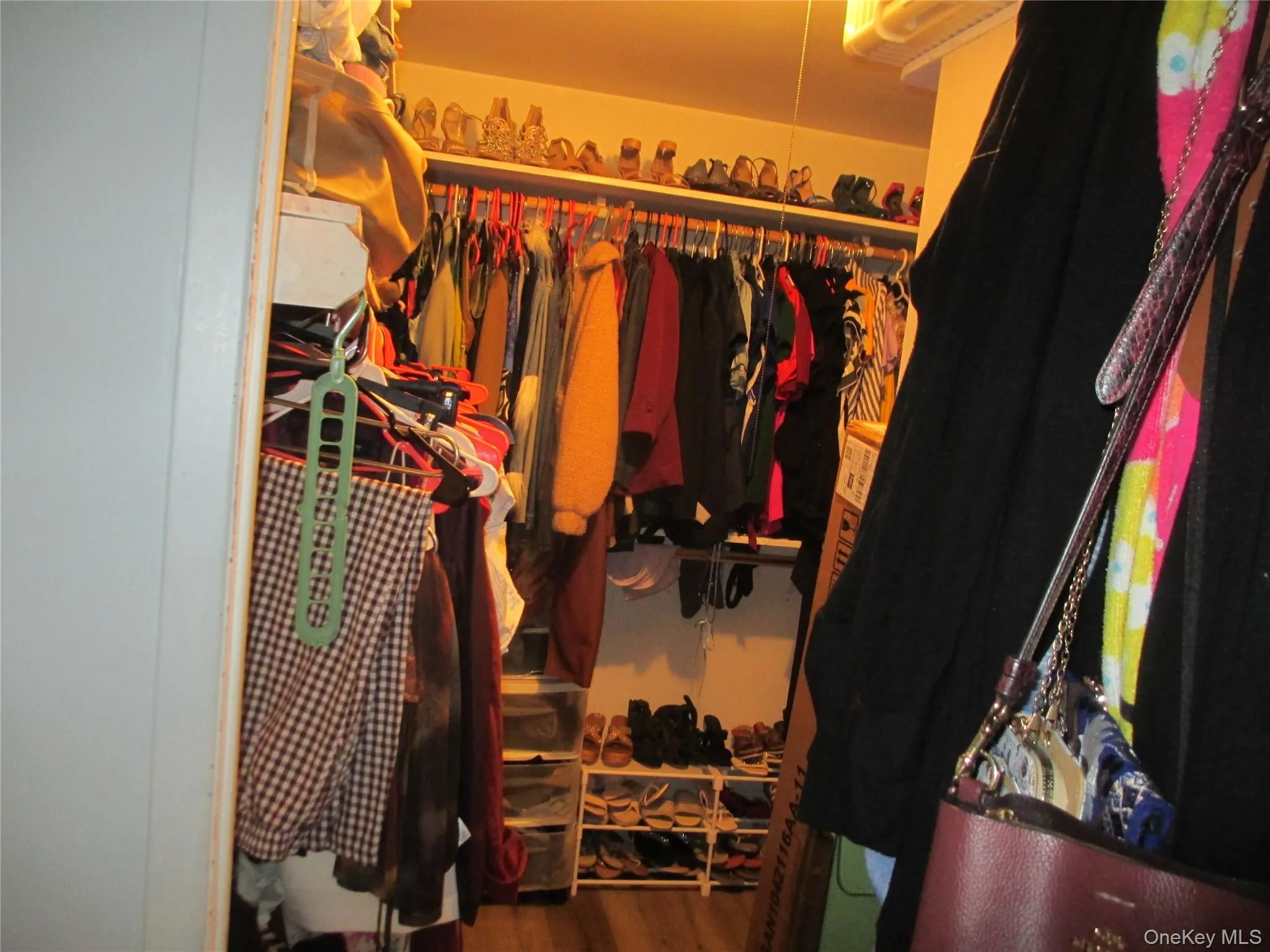 Walk in closet with dark wood-style floors Walk in closet with dark wood-style floors