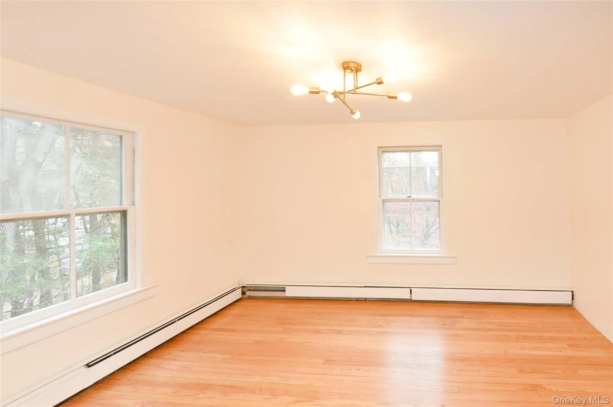 Spare room featuring a baseboard radiator, light wood finished floors, and a chandelier Spare room featuring a baseboard radiator, light wood finished floors, and a chandelier