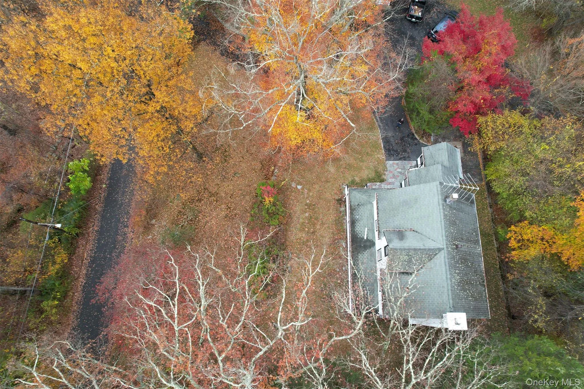 Aerial view of a tree filled landscape Aerial view of a tree filled landscape