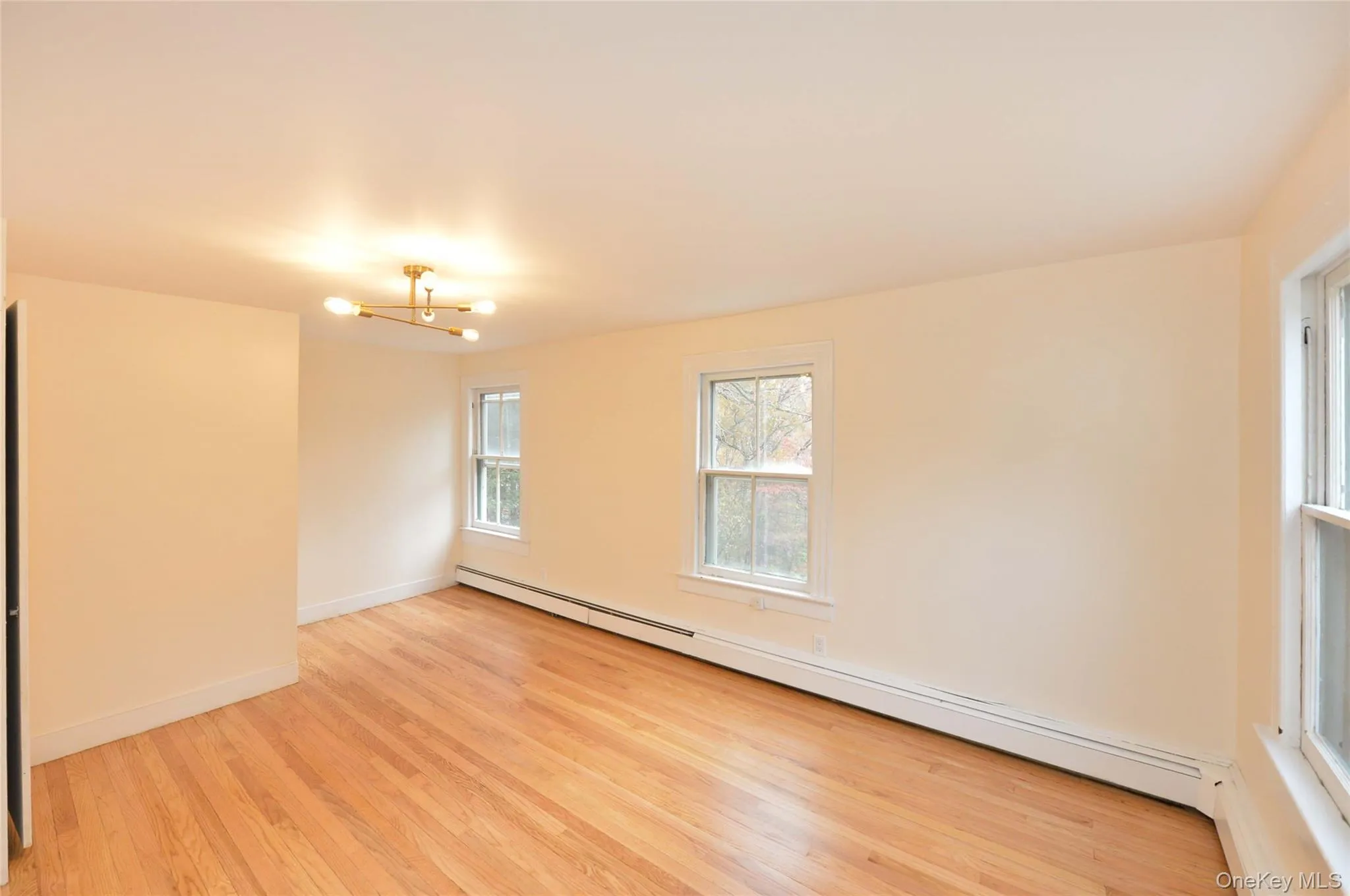 Unfurnished room featuring a baseboard radiator, light wood-style floors, and a chandelier Unfurnished room featuring a baseboard radiator, light wood-style floors, and a chandelier