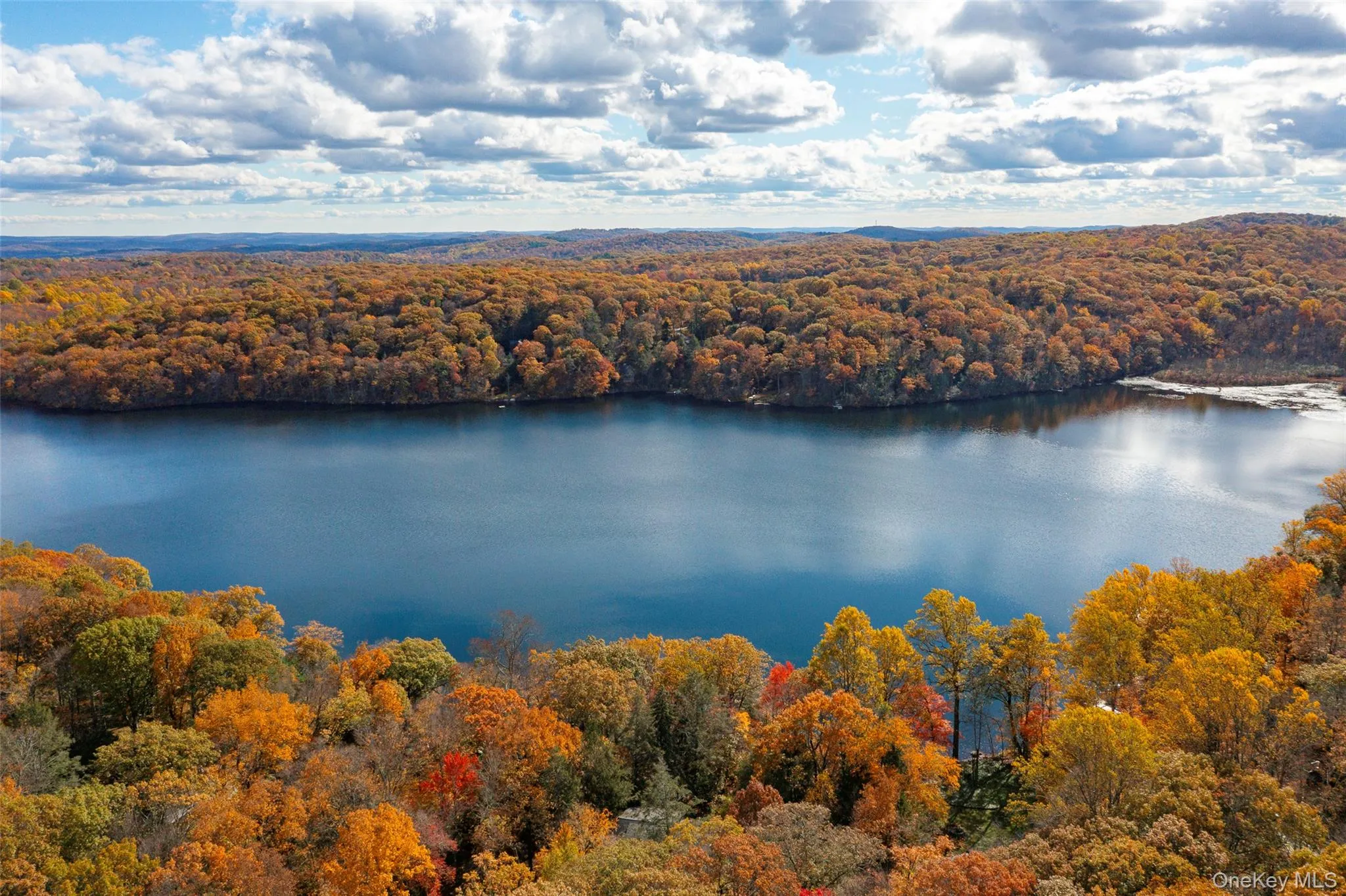 Drone / aerial view of a forest and a nearby body of water Drone / aerial view of a forest and a nearby body of water