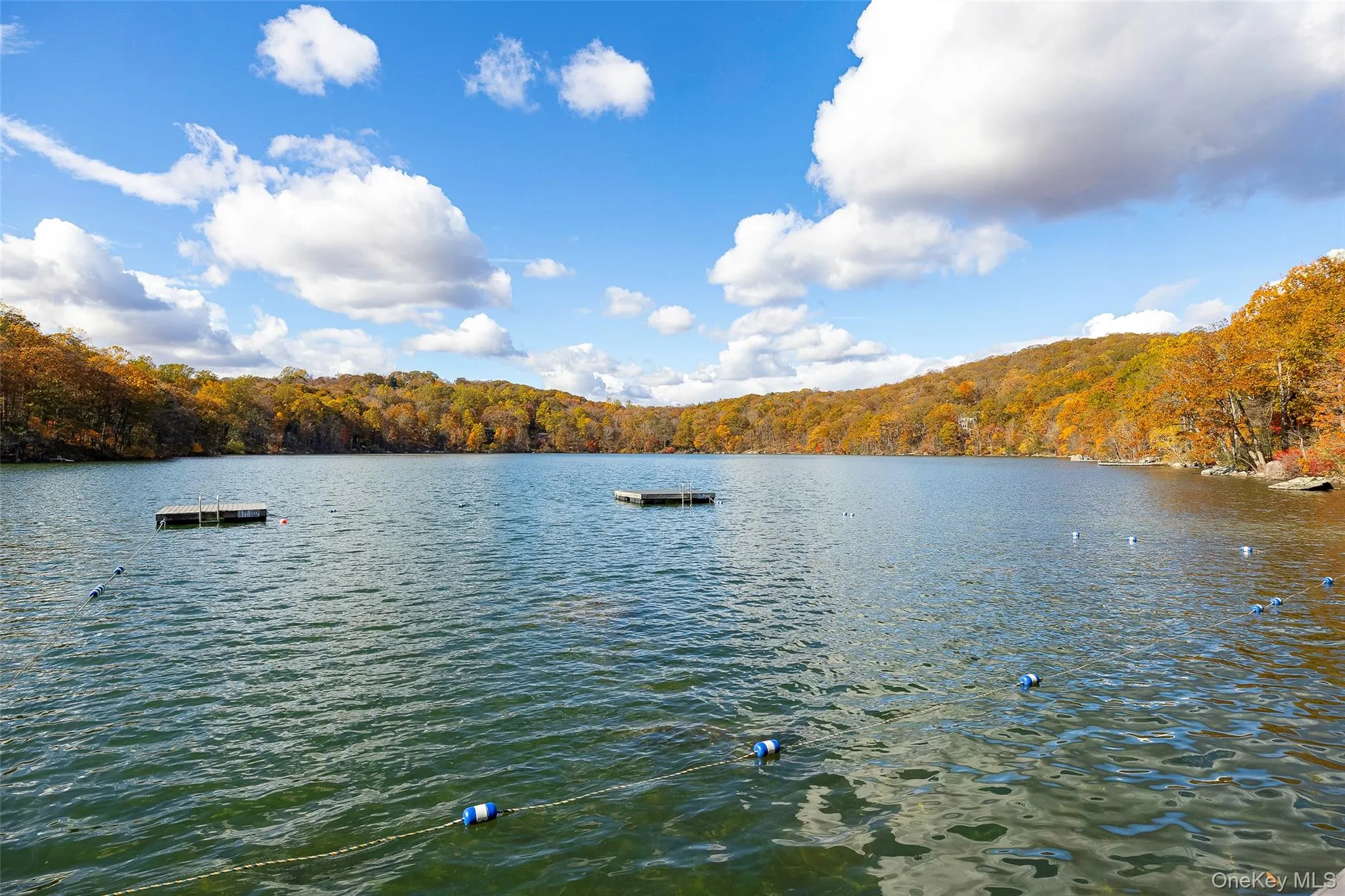 Water view with a heavily wooded area Water view with a heavily wooded area