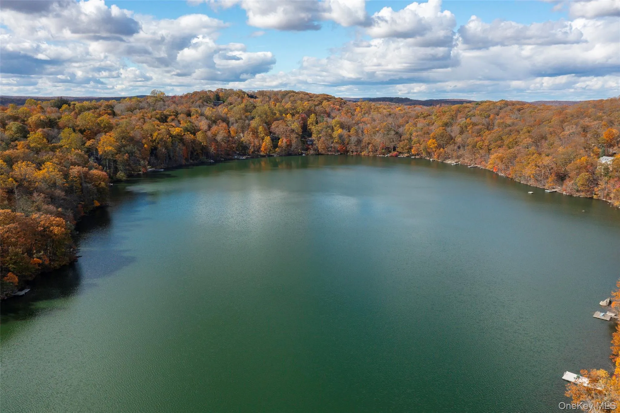 Bird's eye view of a nearby body of water and a forest Bird's eye view of a nearby body of water and a forest