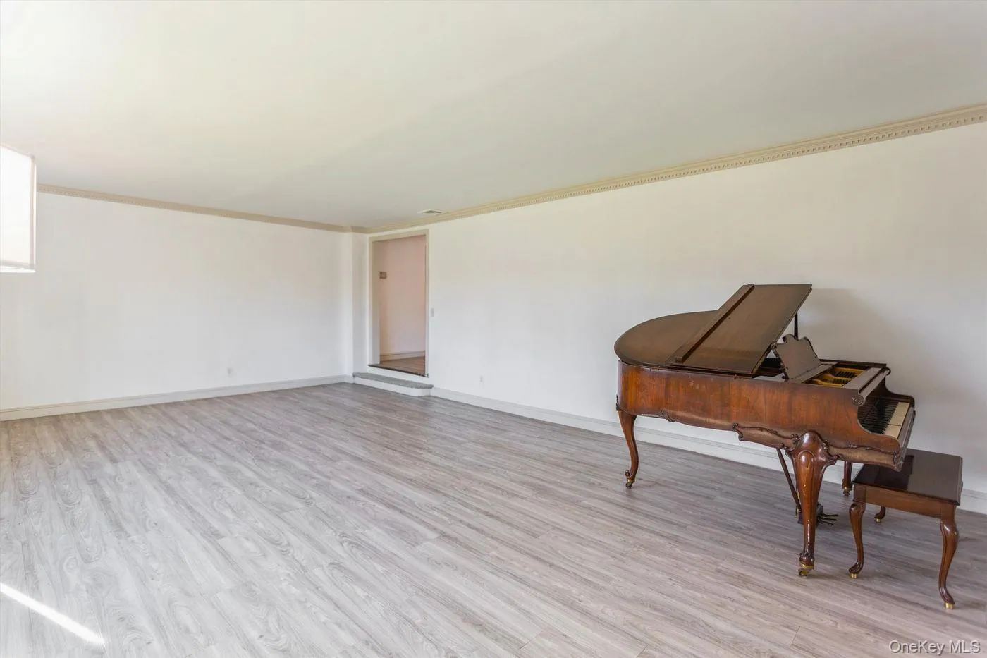 Unfurnished room with light wood-style floors and crown molding Unfurnished room with light wood-style floors and crown molding