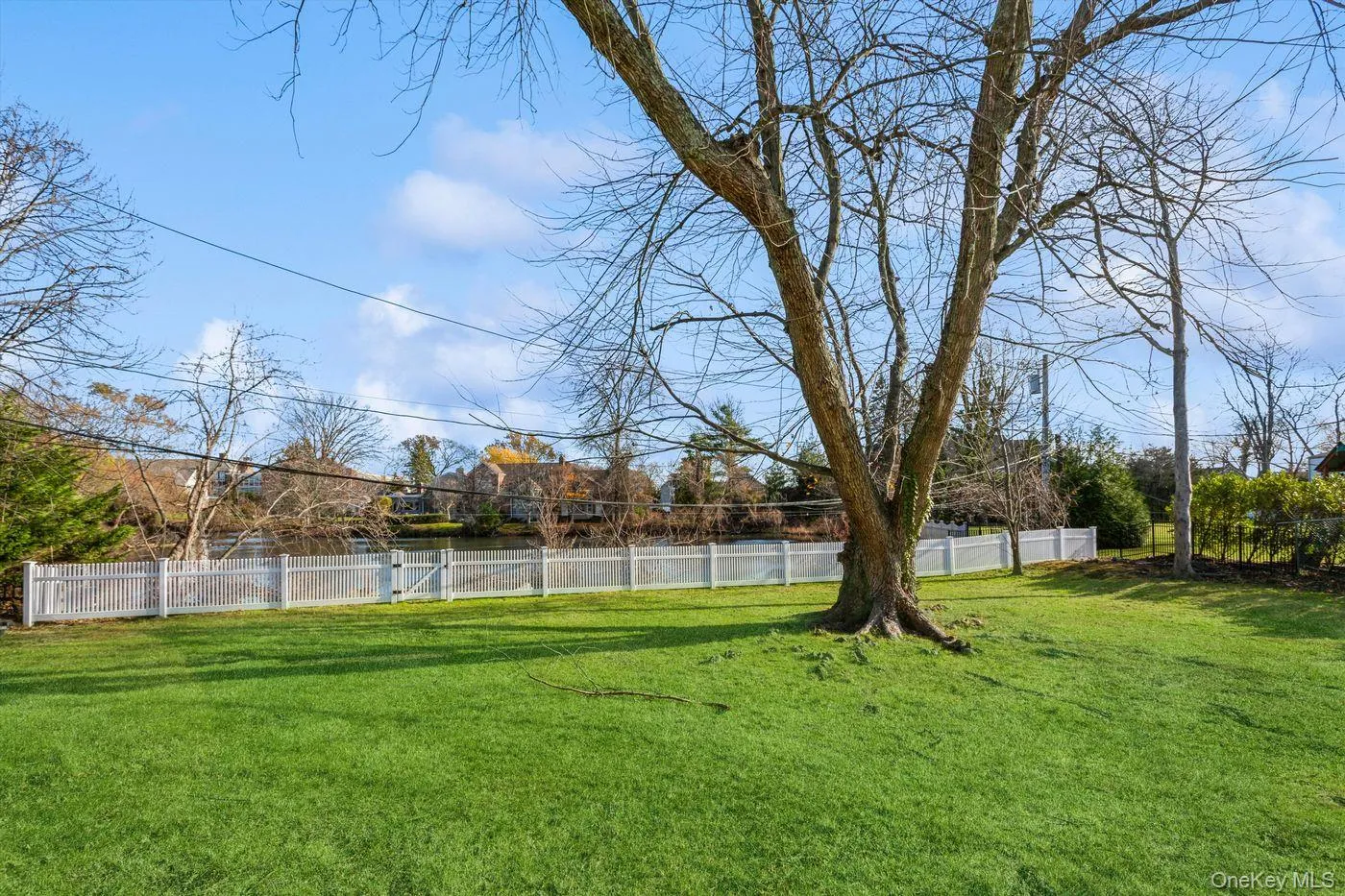 View of yard View of yard
