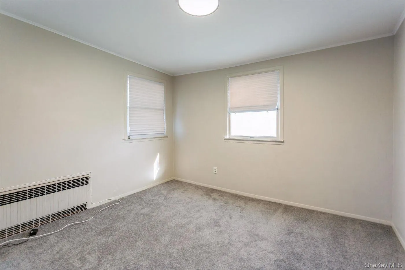 Spare room with radiator, carpet floors, and ornamental molding Spare room with radiator, carpet floors, and ornamental molding