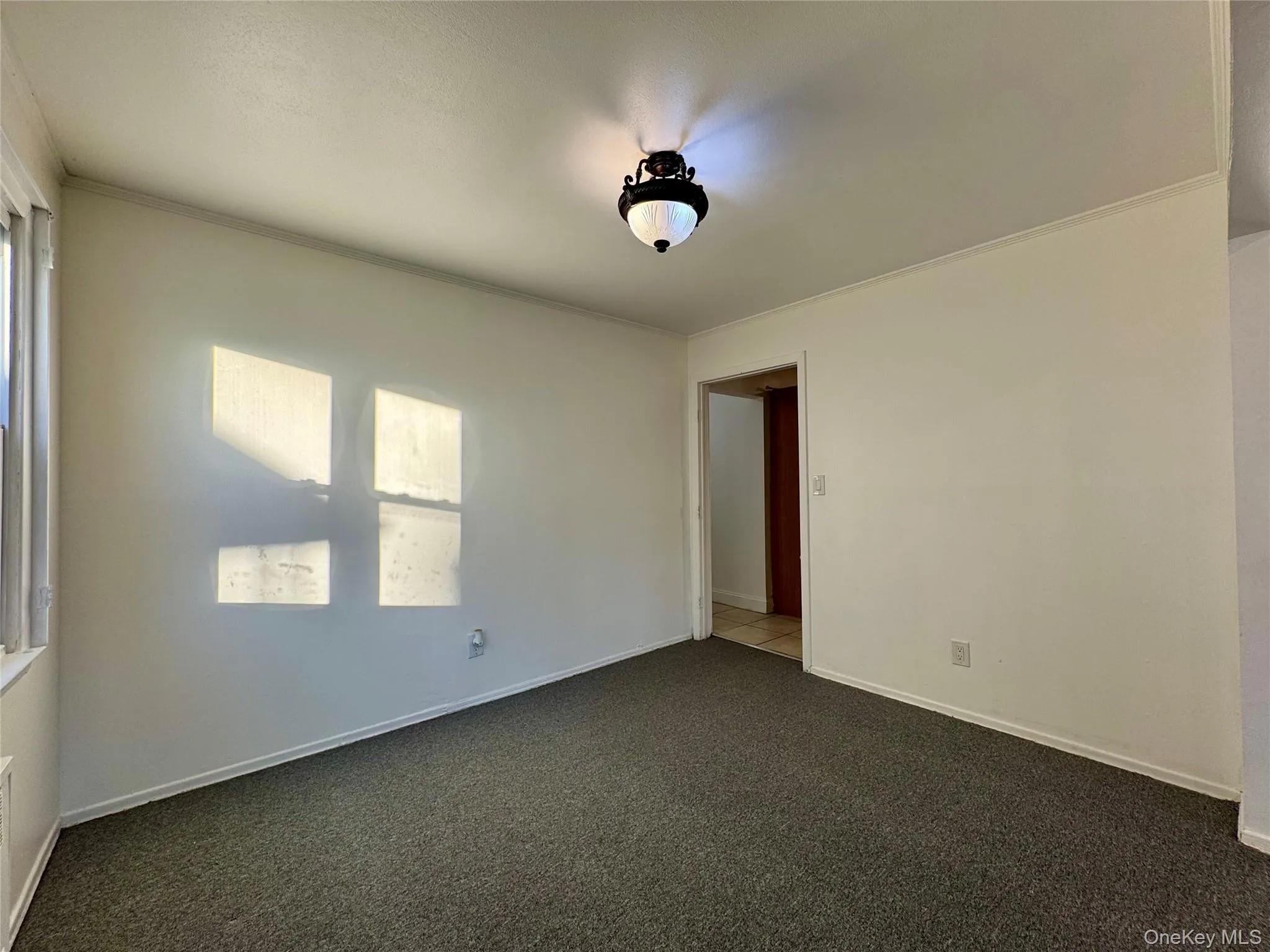 Empty room with carpet floors and crown molding Empty room with carpet floors and crown molding