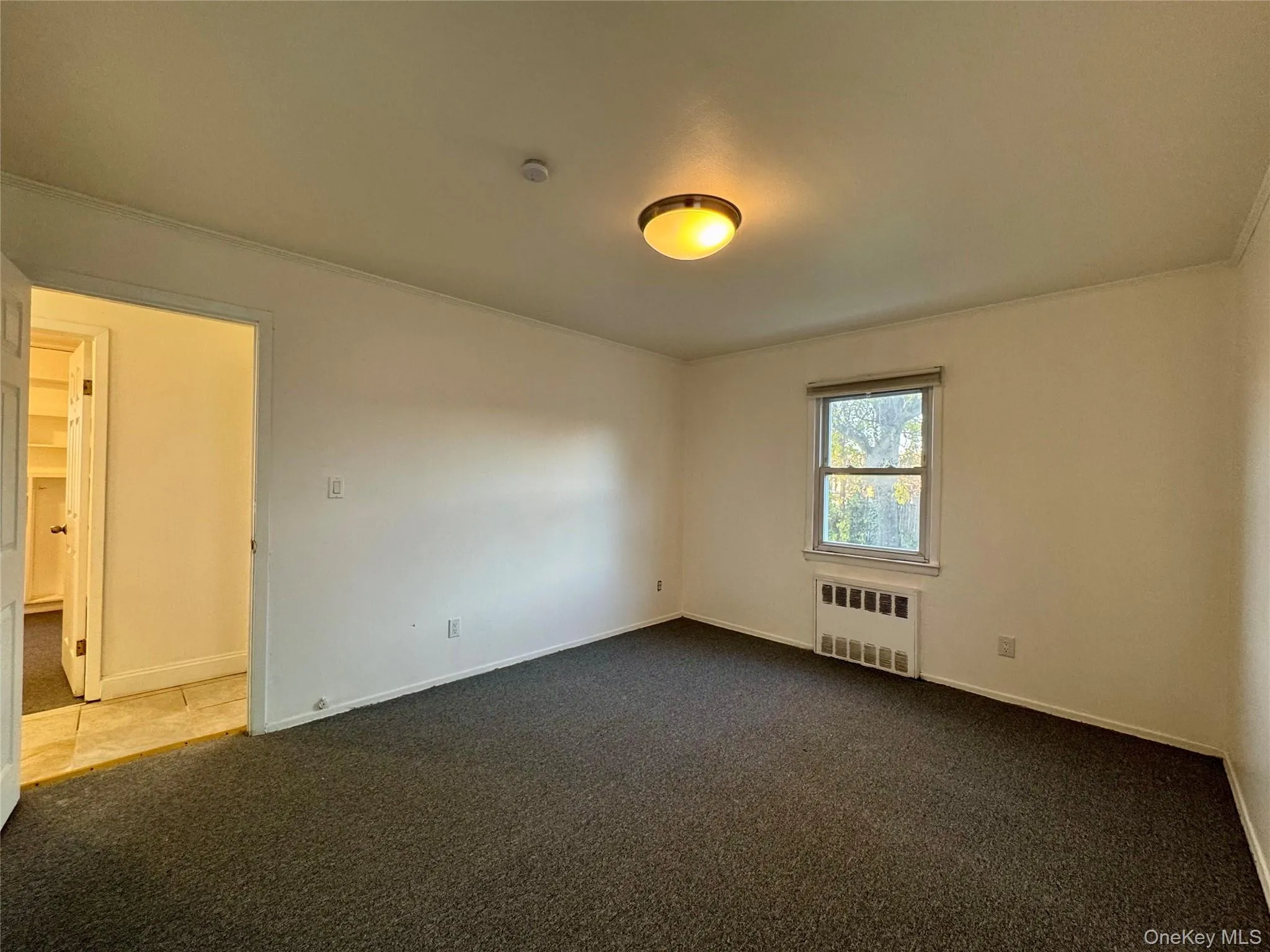 Carpeted empty room with crown molding and radiator heating unit Carpeted empty room with crown molding and radiator heating unit