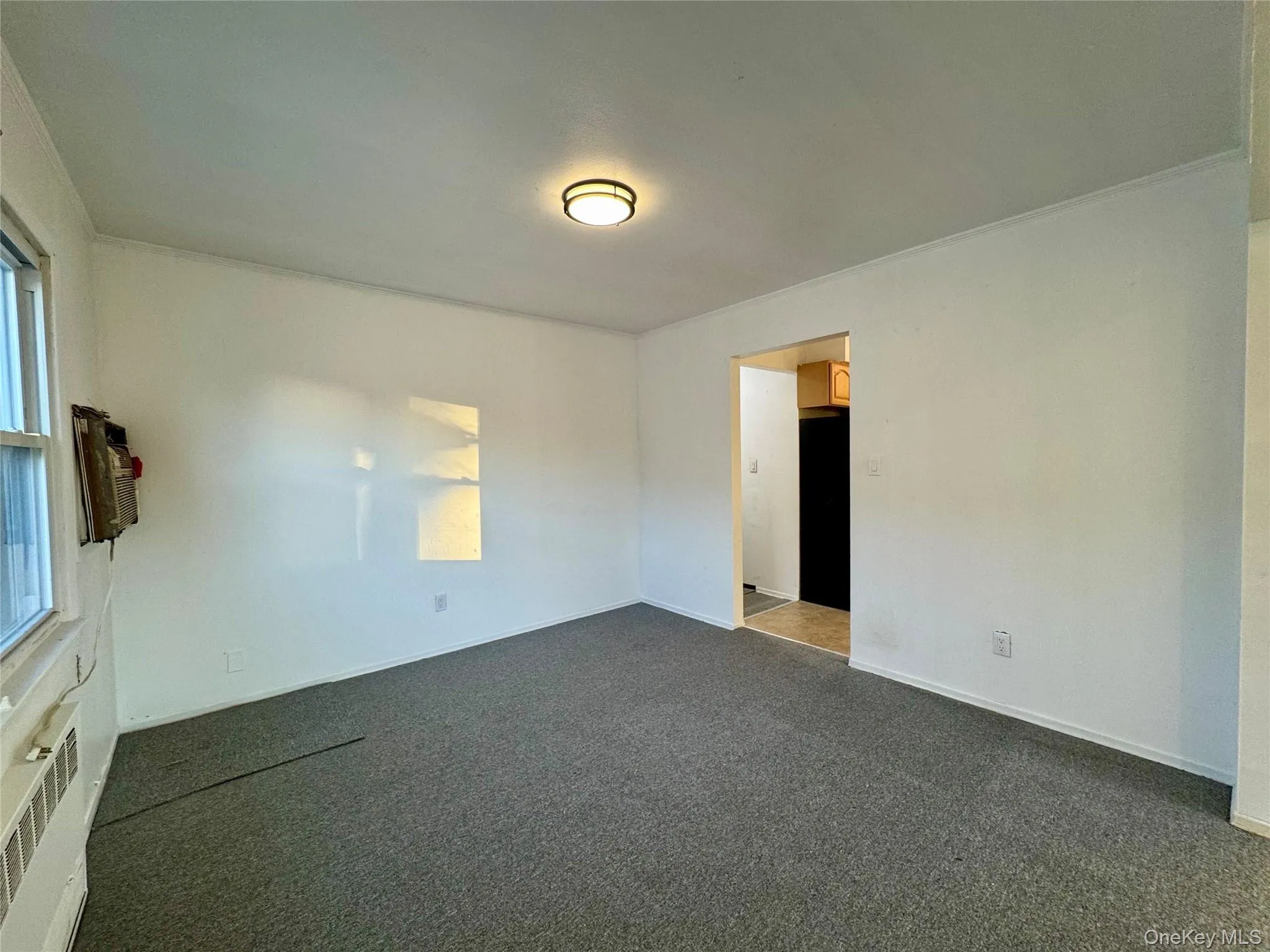 Carpeted spare room featuring radiator heating unit and baseboards Carpeted spare room featuring radiator heating unit and baseboards