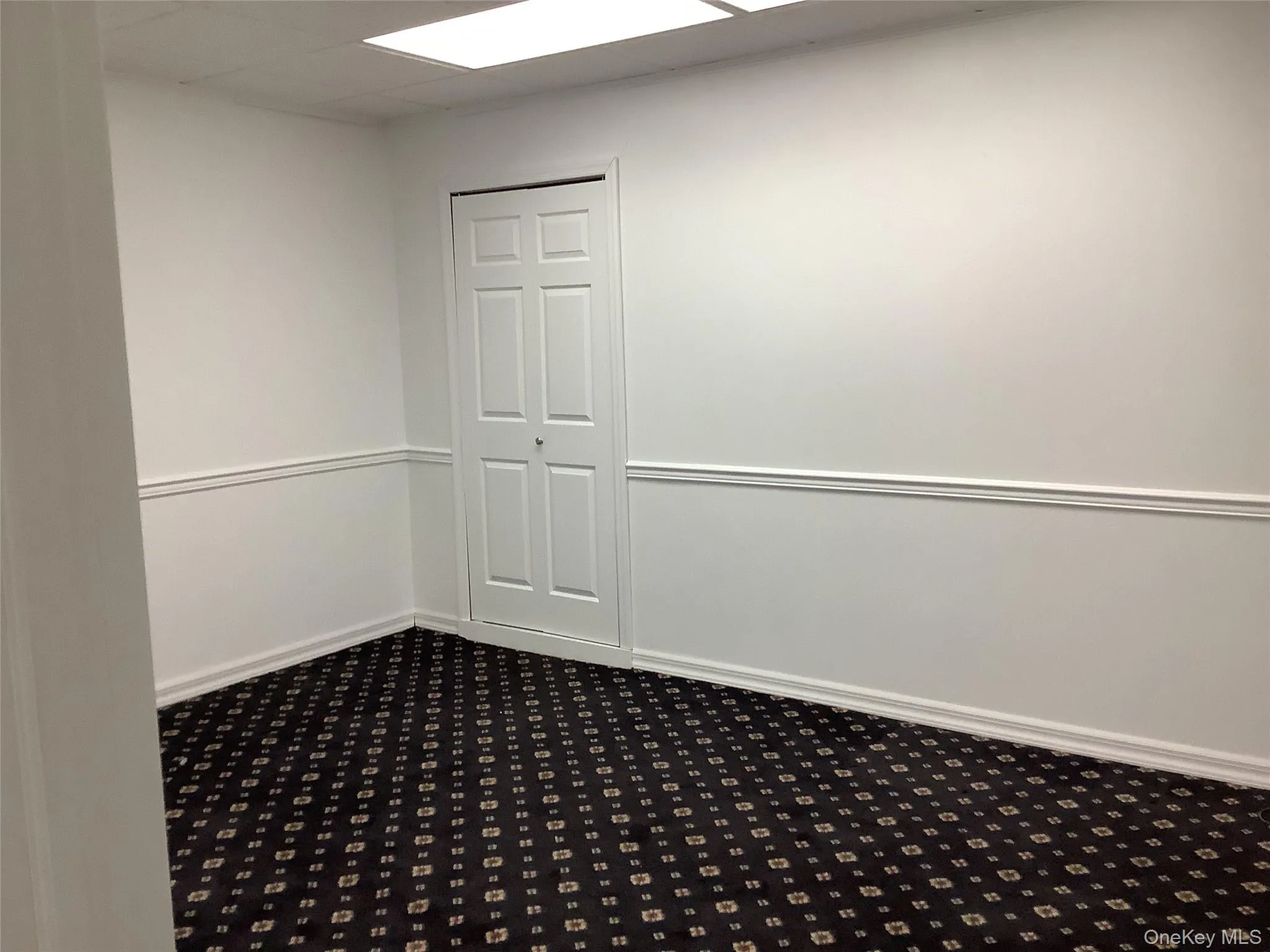 Unfurnished room featuring dark colored carpet and a drop ceiling Unfurnished room featuring dark colored carpet and a drop ceiling