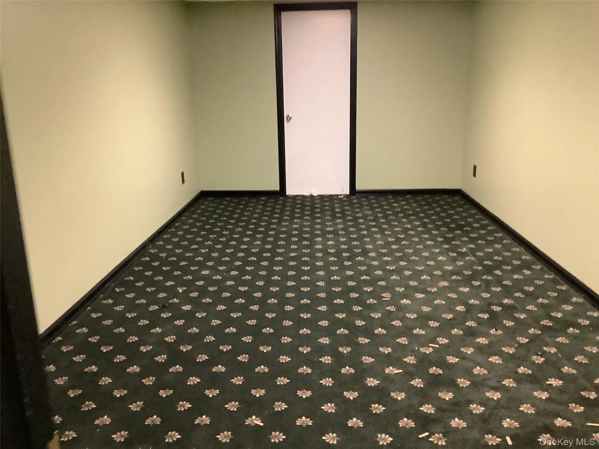 Finished basement with light carpet and baseboards Finished basement with light carpet and baseboards