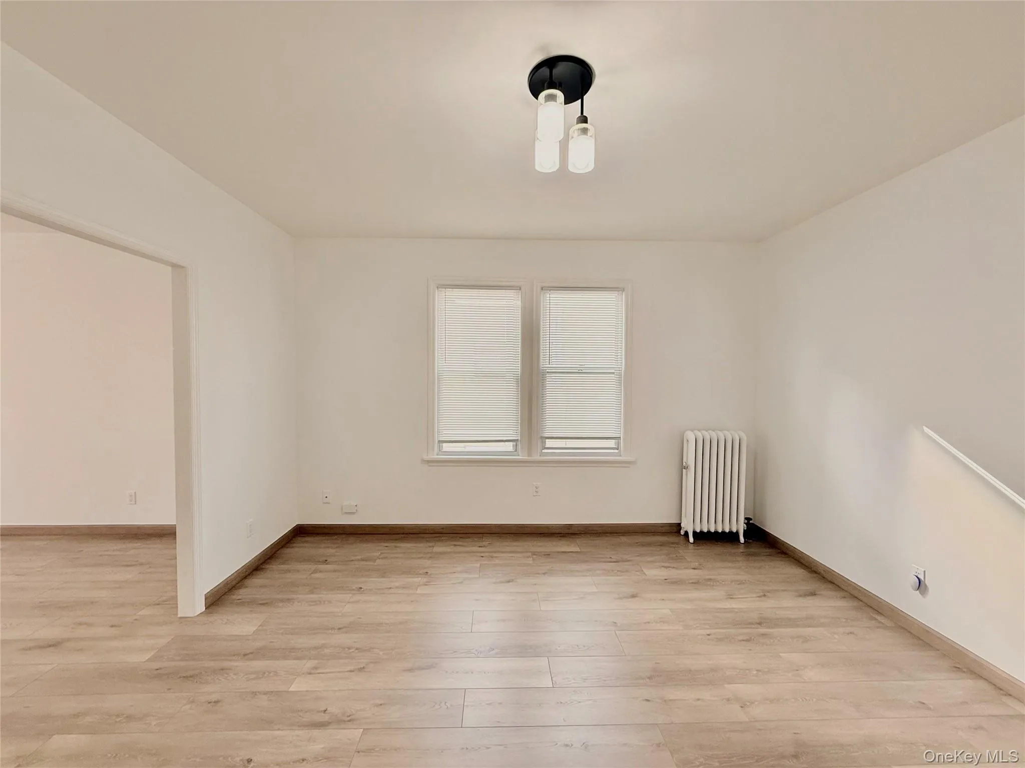 Spare room with radiator and light wood-style floors Spare room with radiator and light wood-style floors