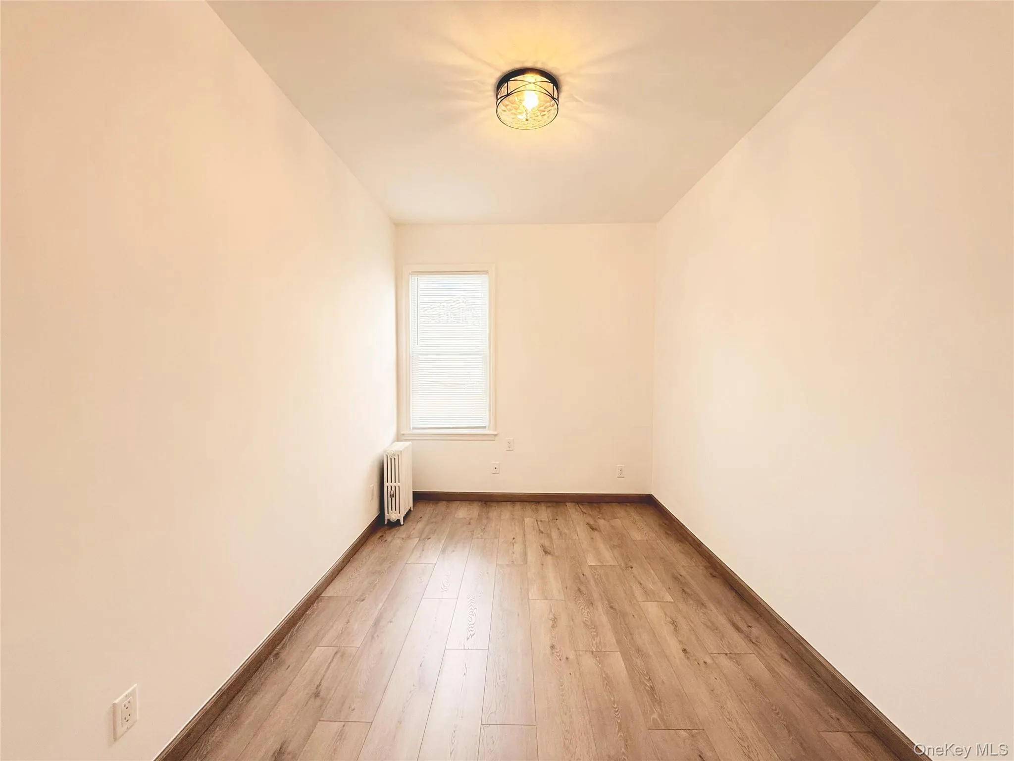 Spare room featuring light wood-style floors and radiator Spare room featuring light wood-style floors and radiator