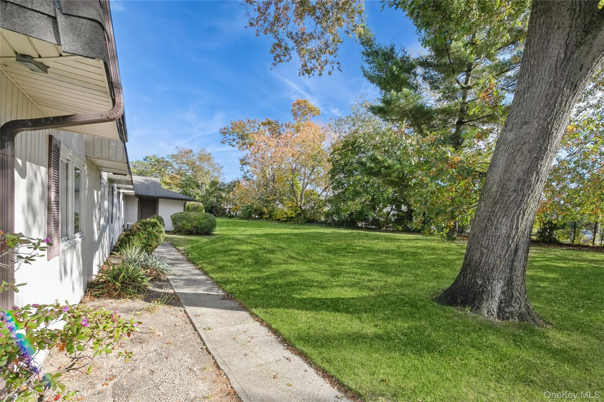 View of grassy yard View of grassy yard