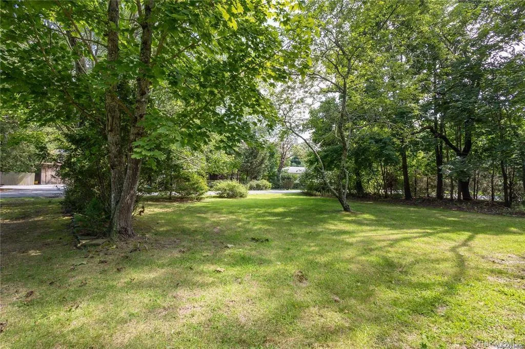 View of green lawn with view of wooded area View of green lawn with view of wooded area