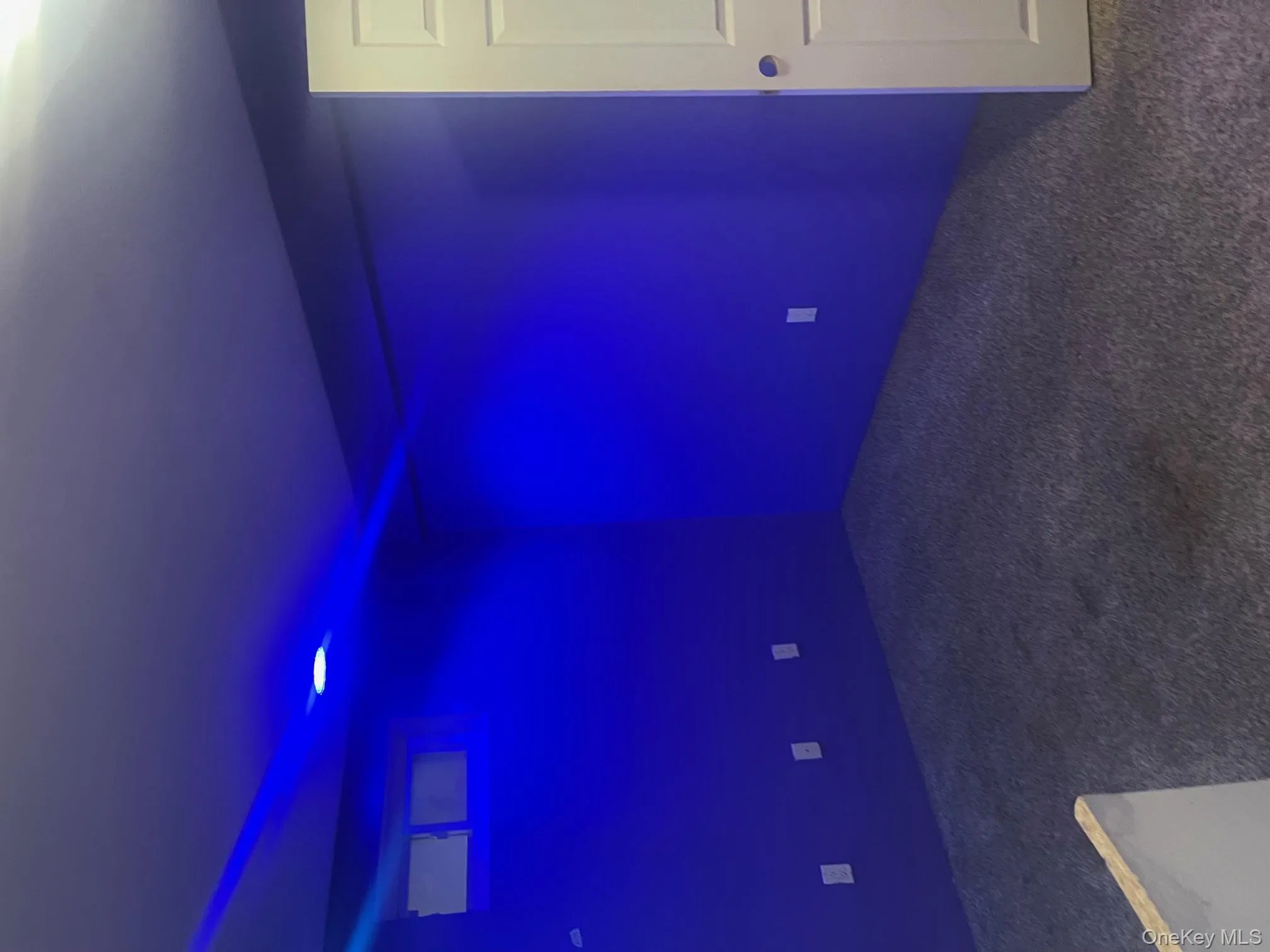 Empty room with carpet floors Empty room with carpet floors