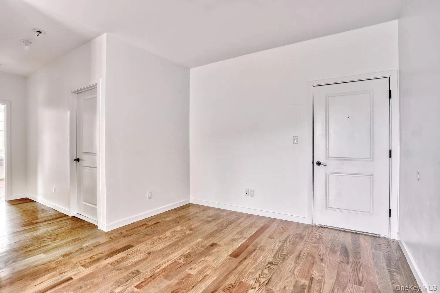 Then entrance door. Then entrance door.