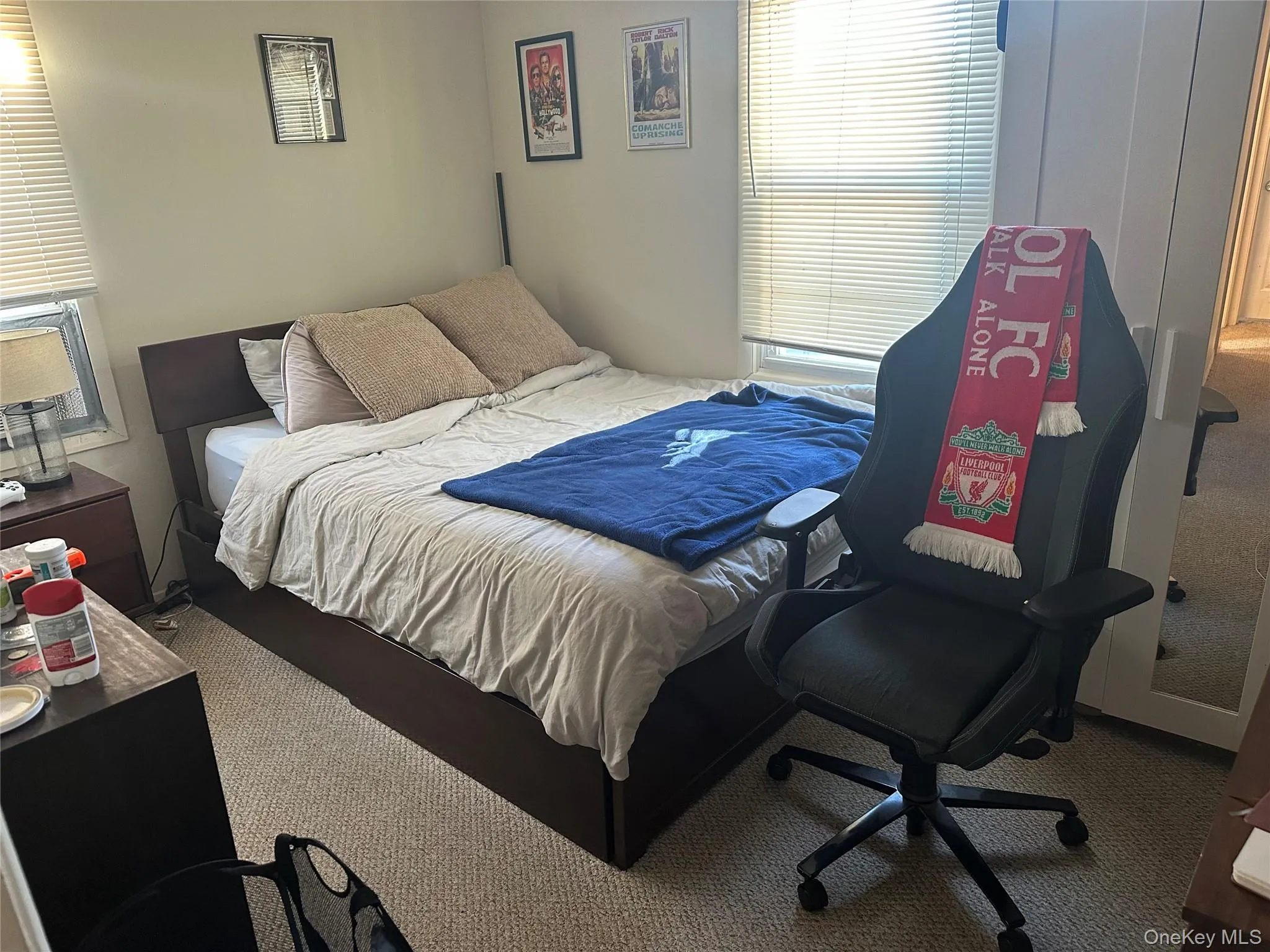 Carpeted bedroom with multiple windows Carpeted bedroom with multiple windows