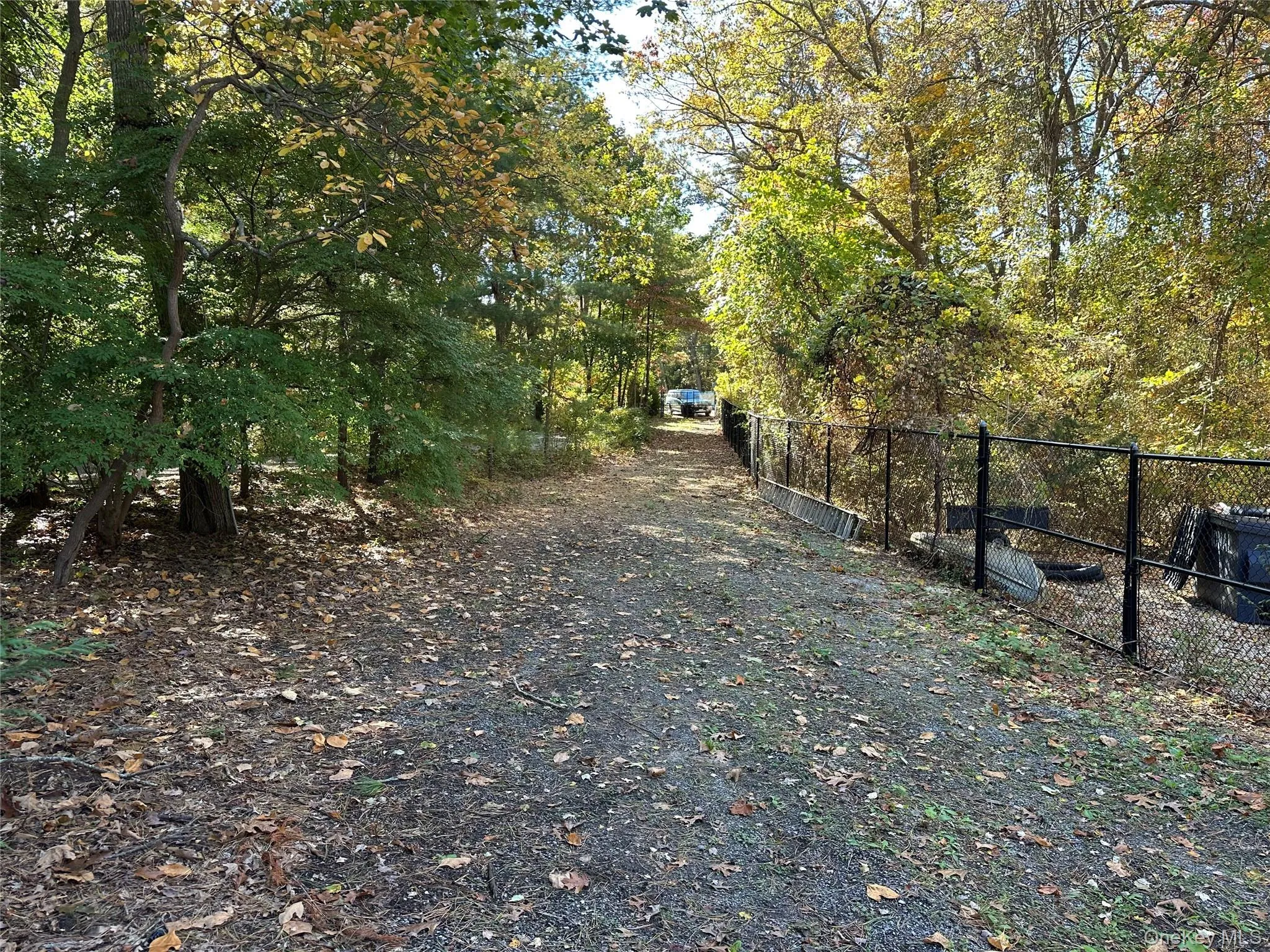 View of dirt / gravel road featuring a forest view View of dirt / gravel road featuring a forest view