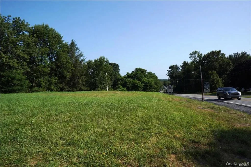 Lot 18 Horseshoe Lake Road and State Route 55, Bethel, NY, ,Land,For Rent,Horseshoe Lake Road and State Route 55,0,929331 Lot 18 Horseshoe Lake Road and State Route 55, Bethel, NY, ,Land,For Rent,Horseshoe Lake Road and State Route 55,0,929331