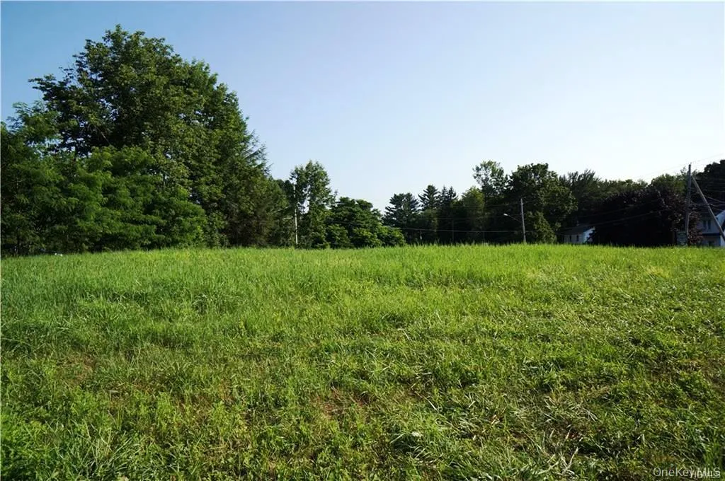 Lot 18 Horseshoe Lake Road and State Route 55, Bethel, NY, ,Land,For Rent,Horseshoe Lake Road and State Route 55,0,929331 Lot 18 Horseshoe Lake Road and State Route 55, Bethel, NY, ,Land,For Rent,Horseshoe Lake Road and State Route 55,0,929331