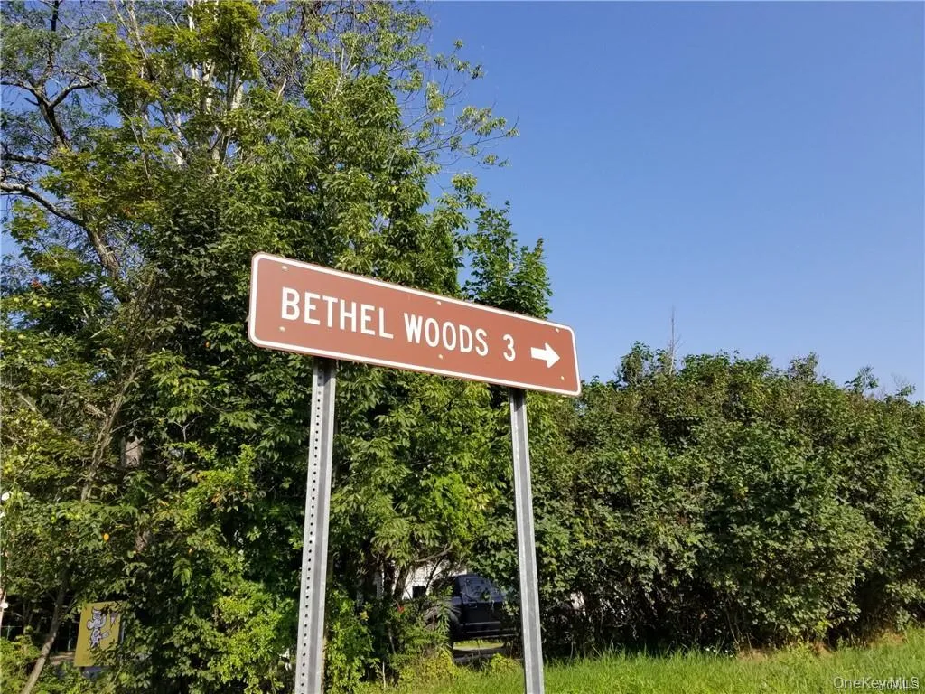 Lot 18 Horseshoe Lake Road and State Route 55, Bethel, NY, ,Land,For Rent,Horseshoe Lake Road and State Route 55,0,929331 Lot 18 Horseshoe Lake Road and State Route 55, Bethel, NY, ,Land,For Rent,Horseshoe Lake Road and State Route 55,0,929331