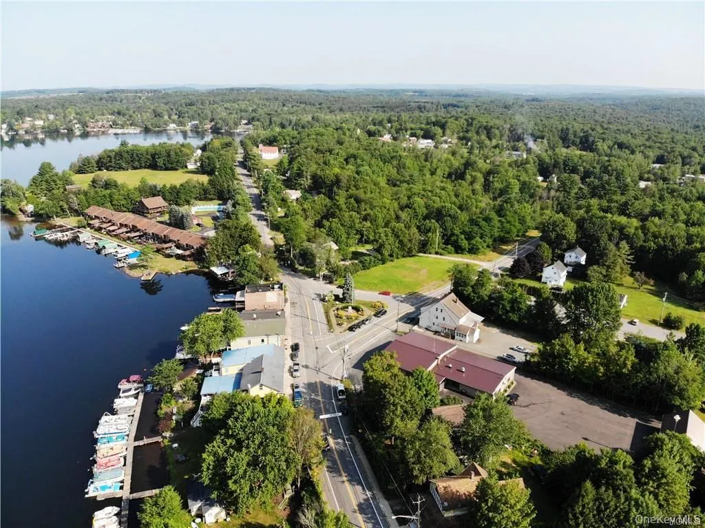 Lot 18 Horseshoe Lake Road and State Route 55, Bethel, NY, ,Land,For Rent,Horseshoe Lake Road and State Route 55,0,929331 Lot 18 Horseshoe Lake Road and State Route 55, Bethel, NY, ,Land,For Rent,Horseshoe Lake Road and State Route 55,0,929331