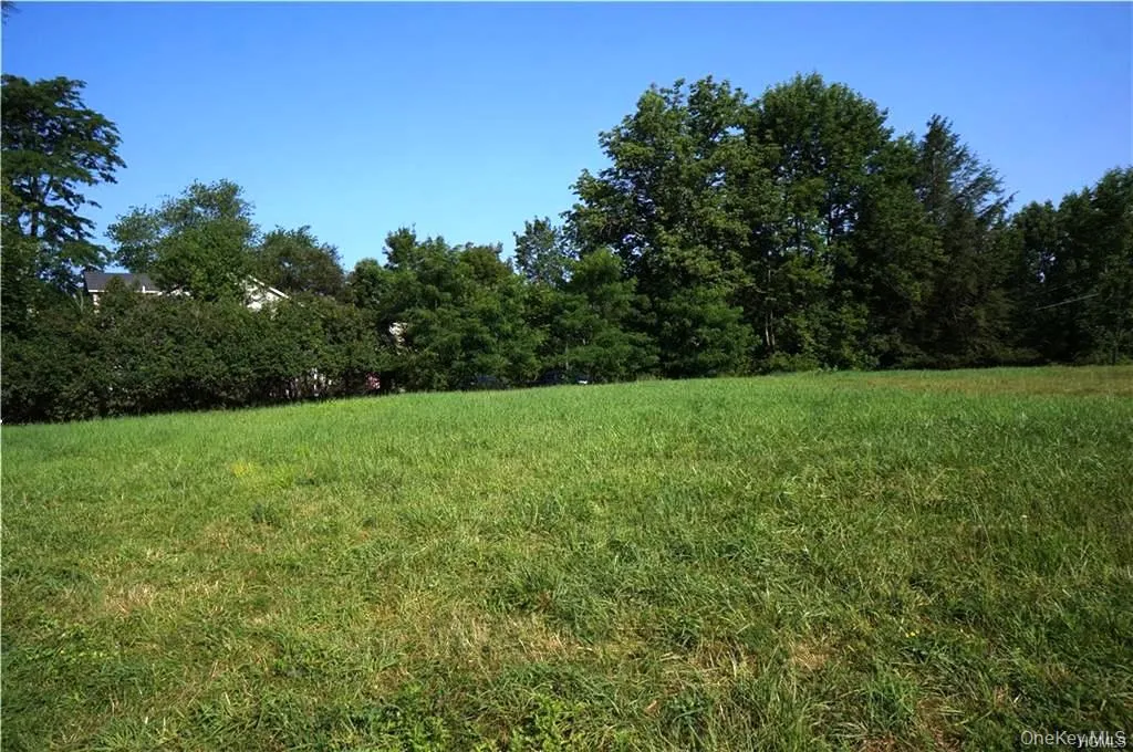 Lot 18 Horseshoe Lake Road and State Route 55, Bethel, NY, ,Land,For Rent,Horseshoe Lake Road and State Route 55,0,929331 Lot 18 Horseshoe Lake Road and State Route 55, Bethel, NY, ,Land,For Rent,Horseshoe Lake Road and State Route 55,0,929331