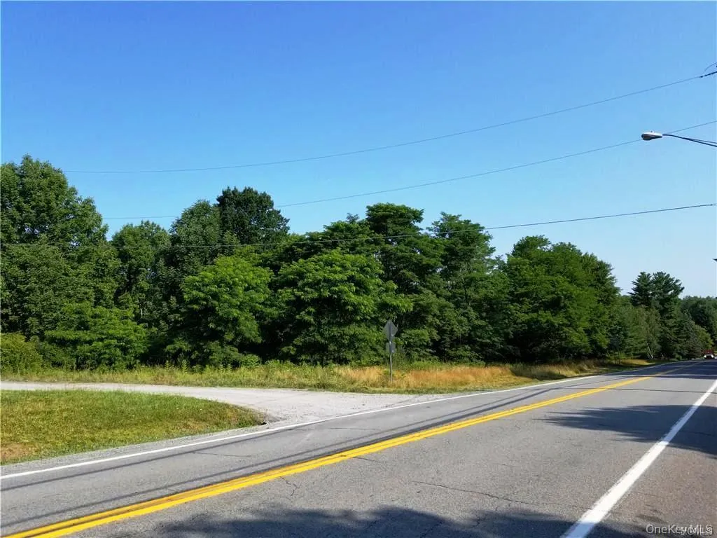 Lot 18 Horseshoe Lake Road and State Route 55, Bethel, NY, ,Land,For Rent,Horseshoe Lake Road and State Route 55,0,929331 Lot 18 Horseshoe Lake Road and State Route 55, Bethel, NY, ,Land,For Rent,Horseshoe Lake Road and State Route 55,0,929331