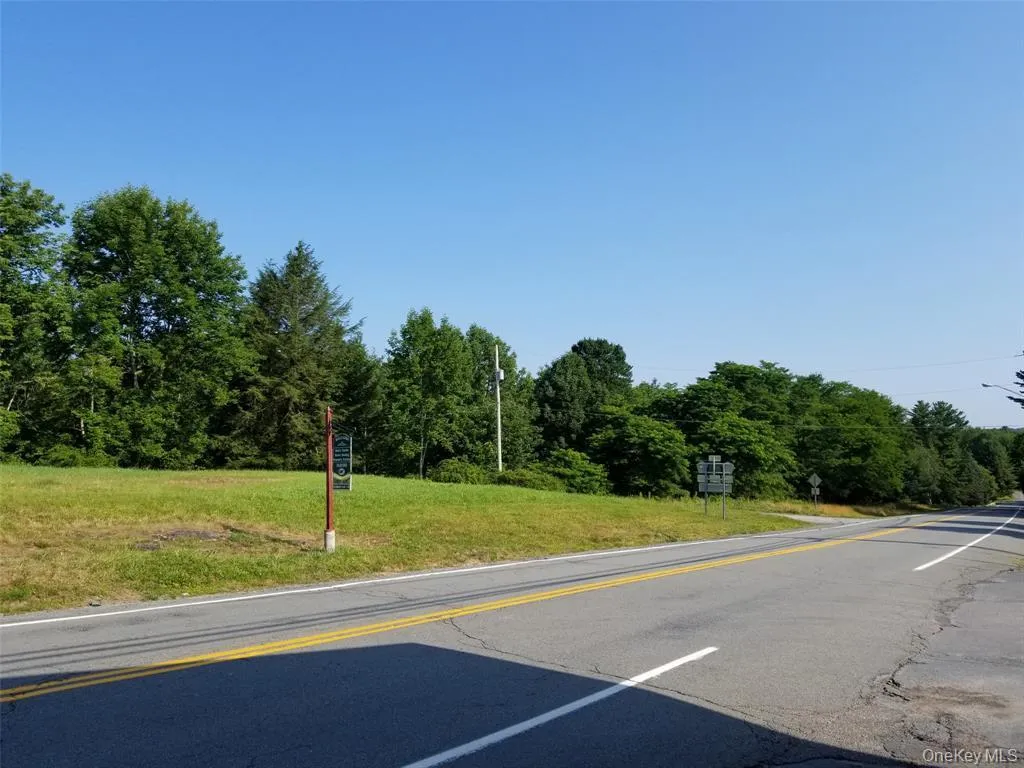 Lot 18 Horseshoe Lake Road and State Route 55, Bethel, NY, ,Land,For Rent,Horseshoe Lake Road and State Route 55,0,929331 Lot 18 Horseshoe Lake Road and State Route 55, Bethel, NY, ,Land,For Rent,Horseshoe Lake Road and State Route 55,0,929331