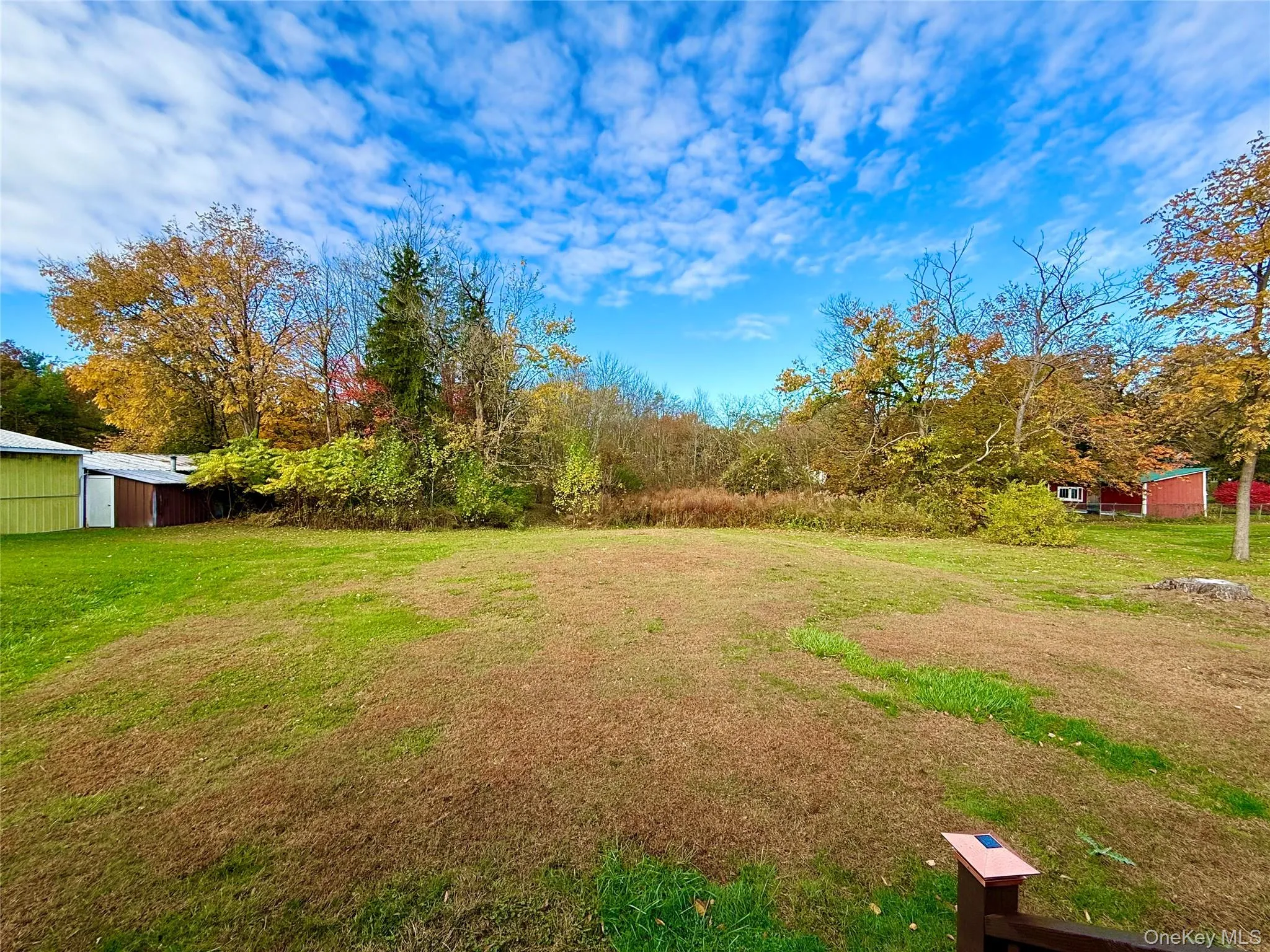 View of grassy yard featuring a storage shed View of grassy yard featuring a storage shed