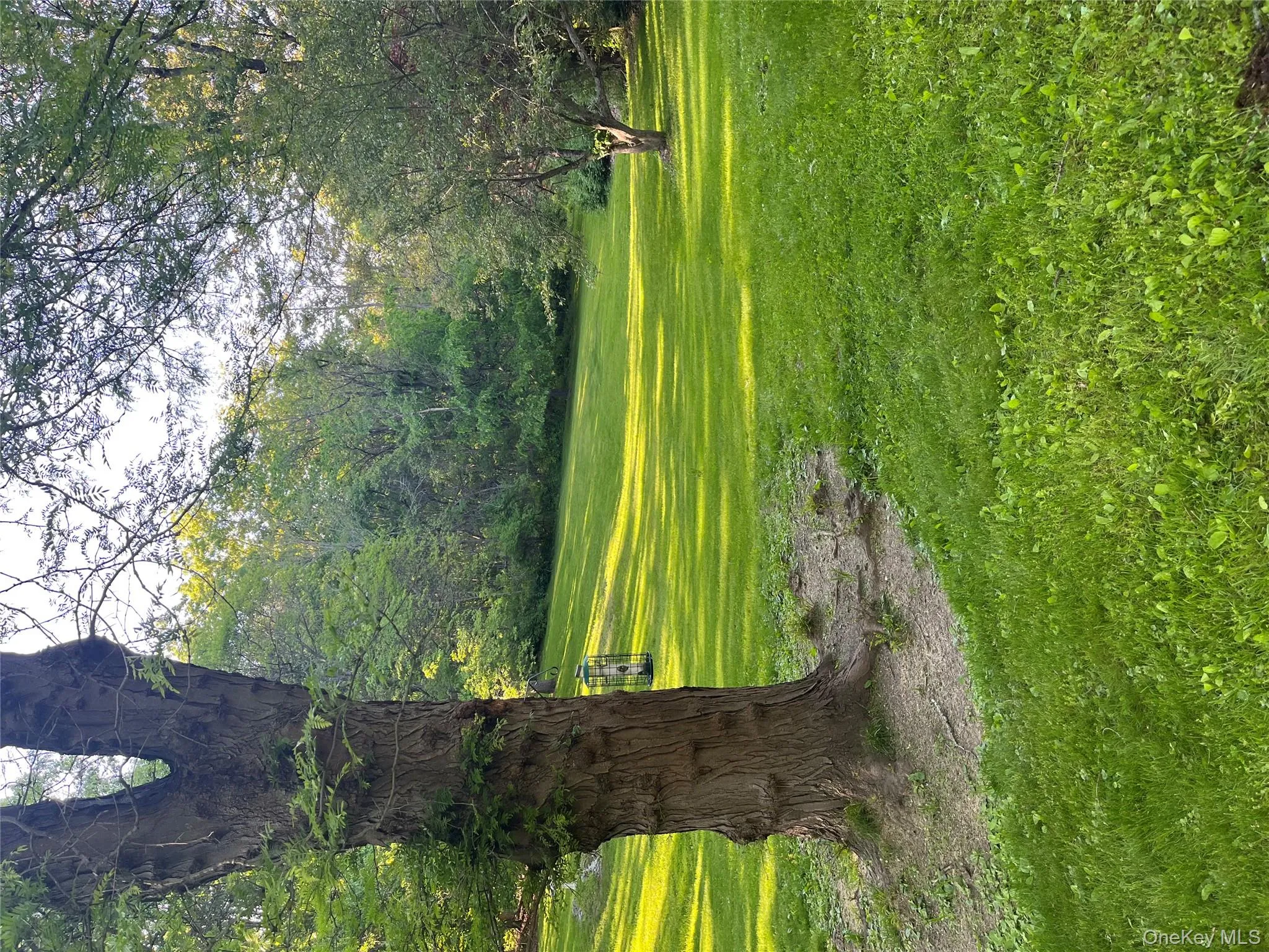 View of Backyard View of Backyard