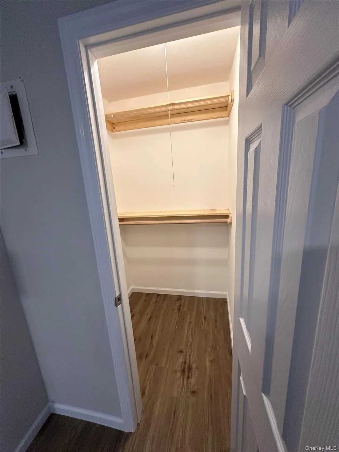 Spacious closet featuring dark wood-style flooring Spacious closet featuring dark wood-style flooring