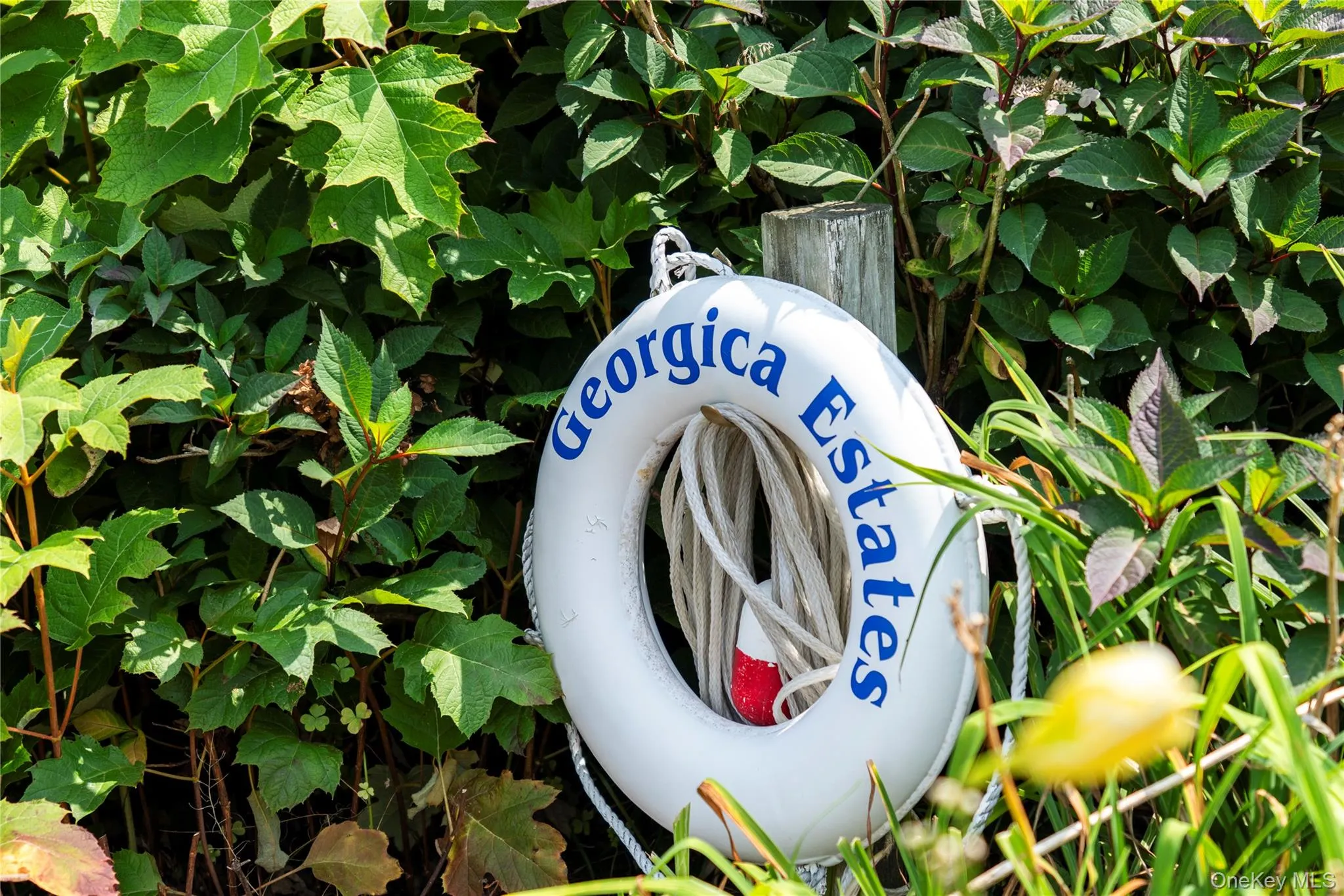 Exterior view Exterior view