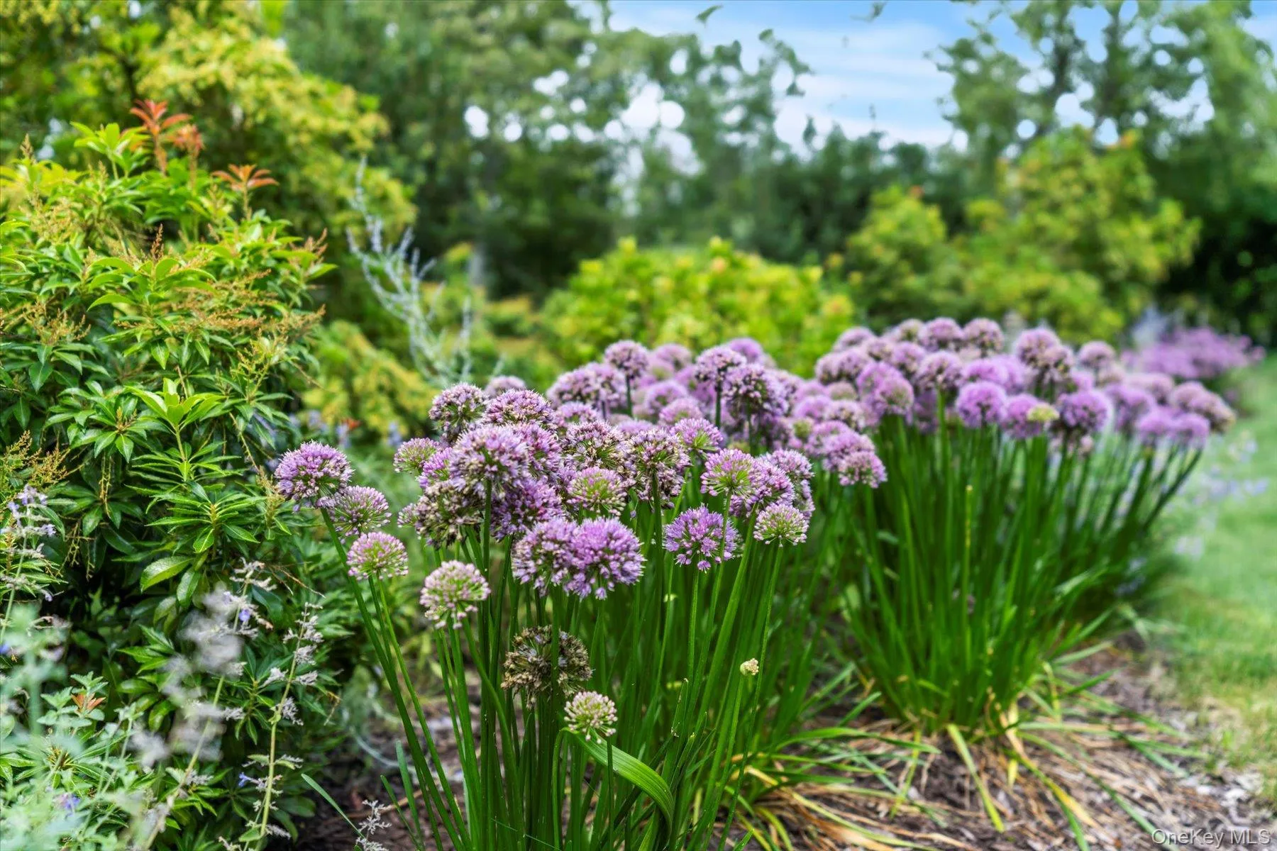 Exterior view Exterior view