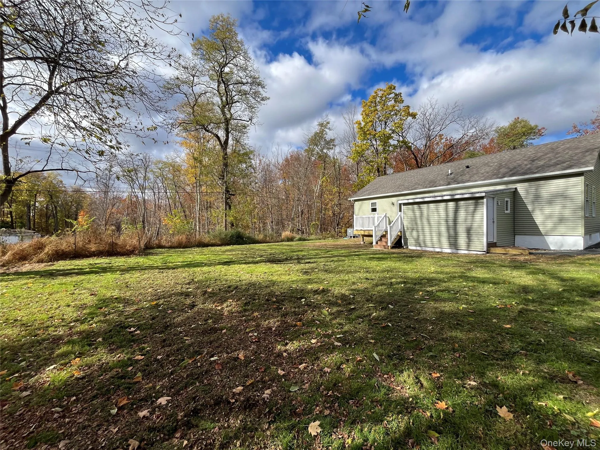 View of green lawn View of green lawn