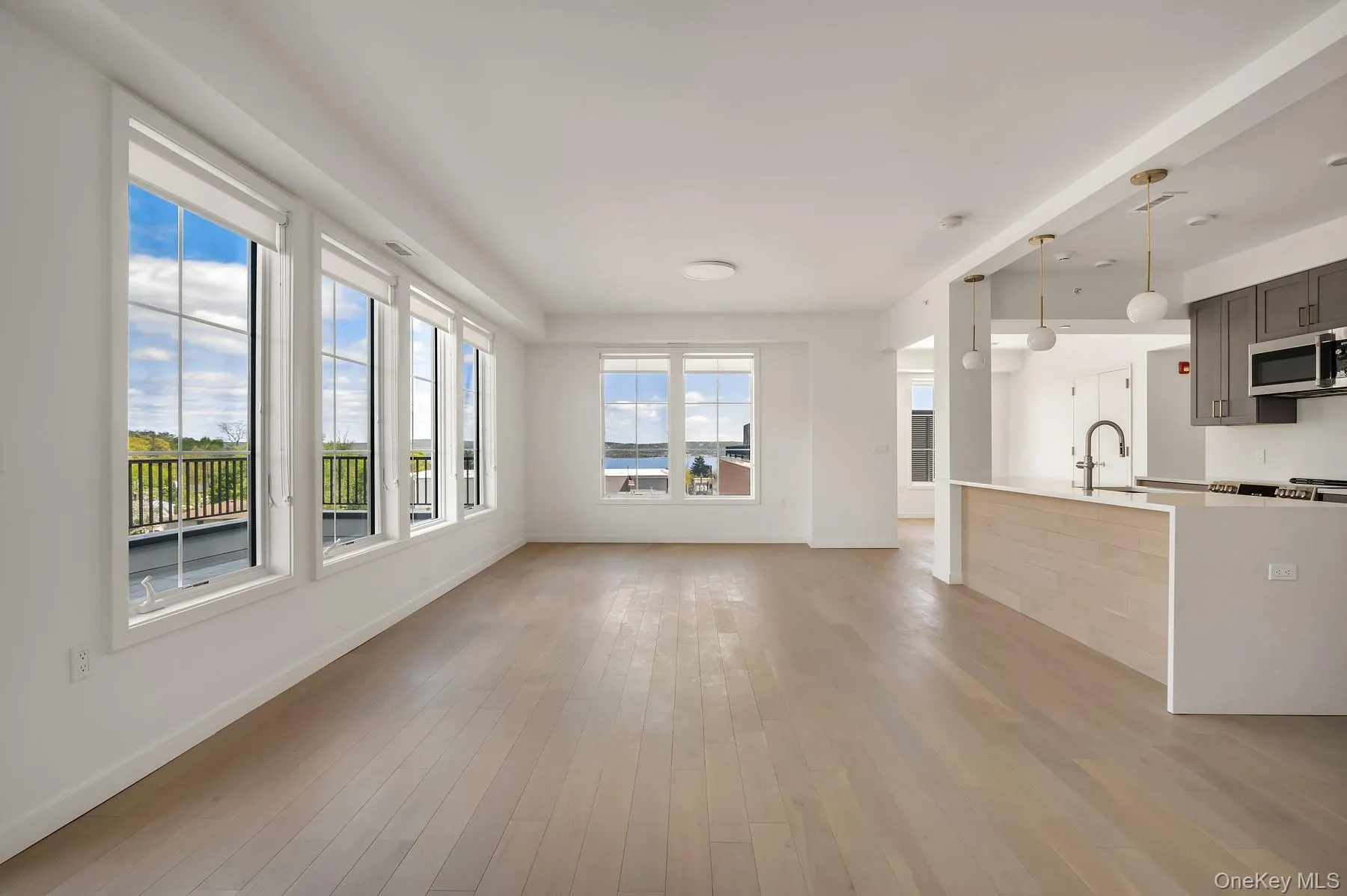 Unfurnished living room featuring light wood-style floors and baseboards Unfurnished living room featuring light wood-style floors and baseboards