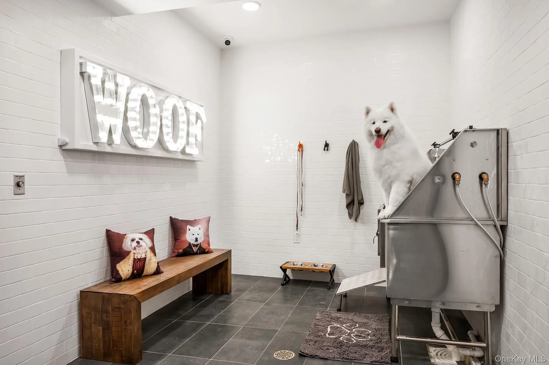 Miscellaneous room with pet washing area and dark tile patterned floors Miscellaneous room with pet washing area and dark tile patterned floors