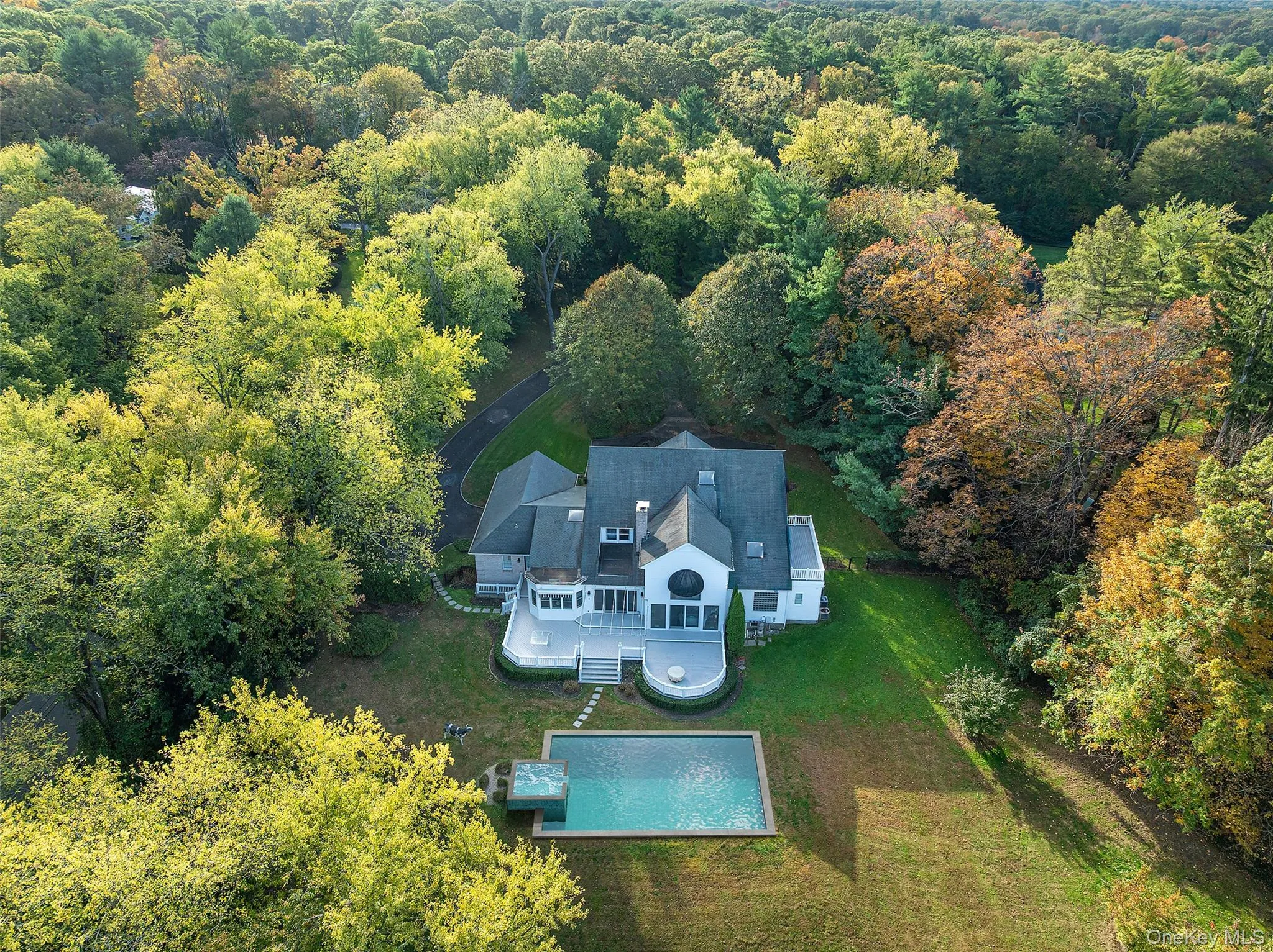 View from above of property featuring a pool area and a forest View from above of property featuring a pool area and a forest