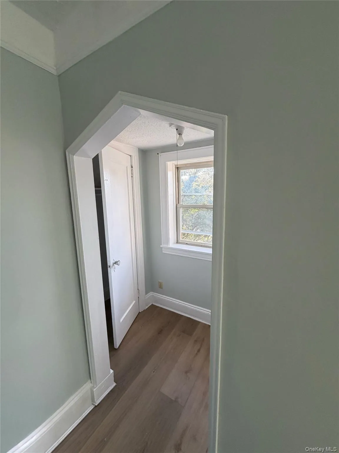 Bonus room with baseboards and dark wood-type flooring Bonus room with baseboards and dark wood-type flooring