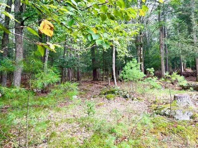 250 County Road 21, Highland, NY, 3 Bedrooms Bedrooms, 5 Rooms Rooms,2 BathroomsBathrooms,Residential,For Rent,County Road 21,0,929717 250 County Road 21, Highland, NY, 3 Bedrooms Bedrooms, 5 Rooms Rooms,2 BathroomsBathrooms,Residential,For Rent,County Road 21,0,929717