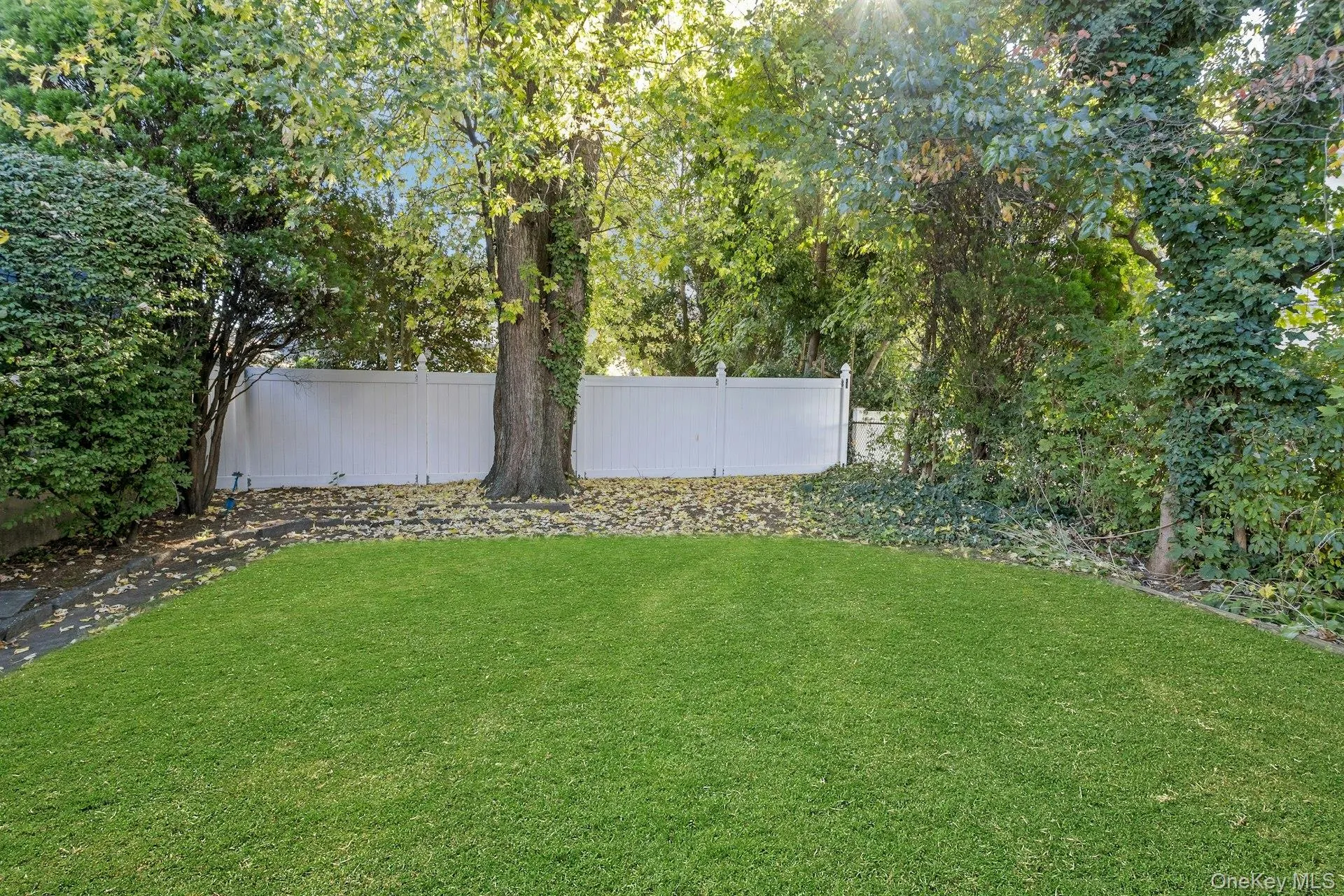 View of yard View of yard