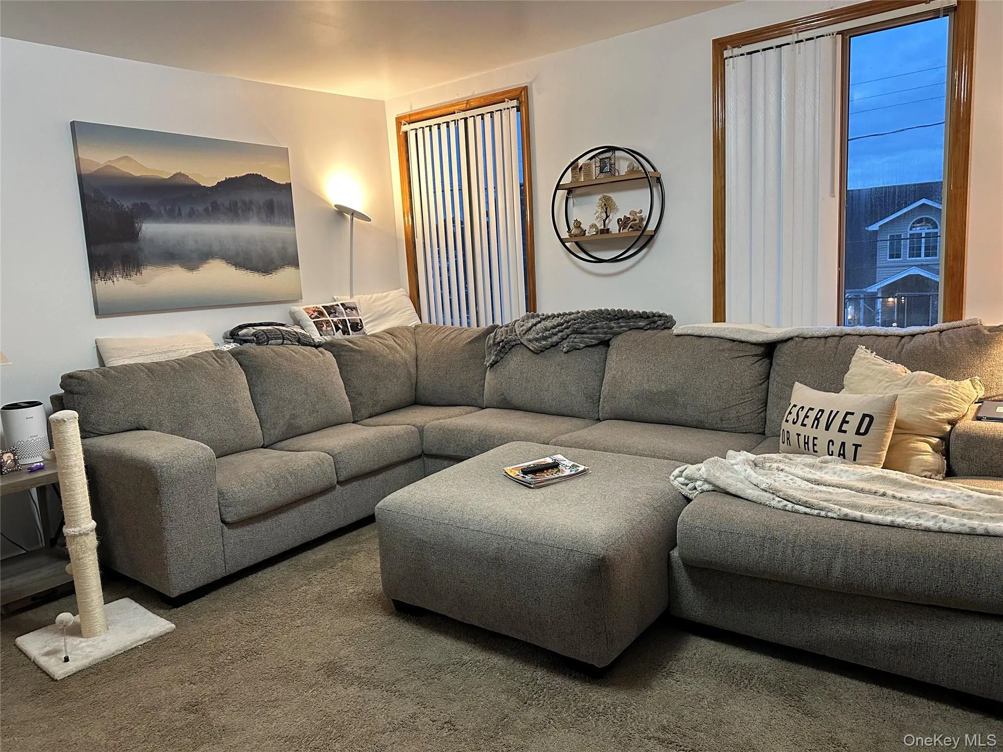 Living room with carpet Living room with carpet